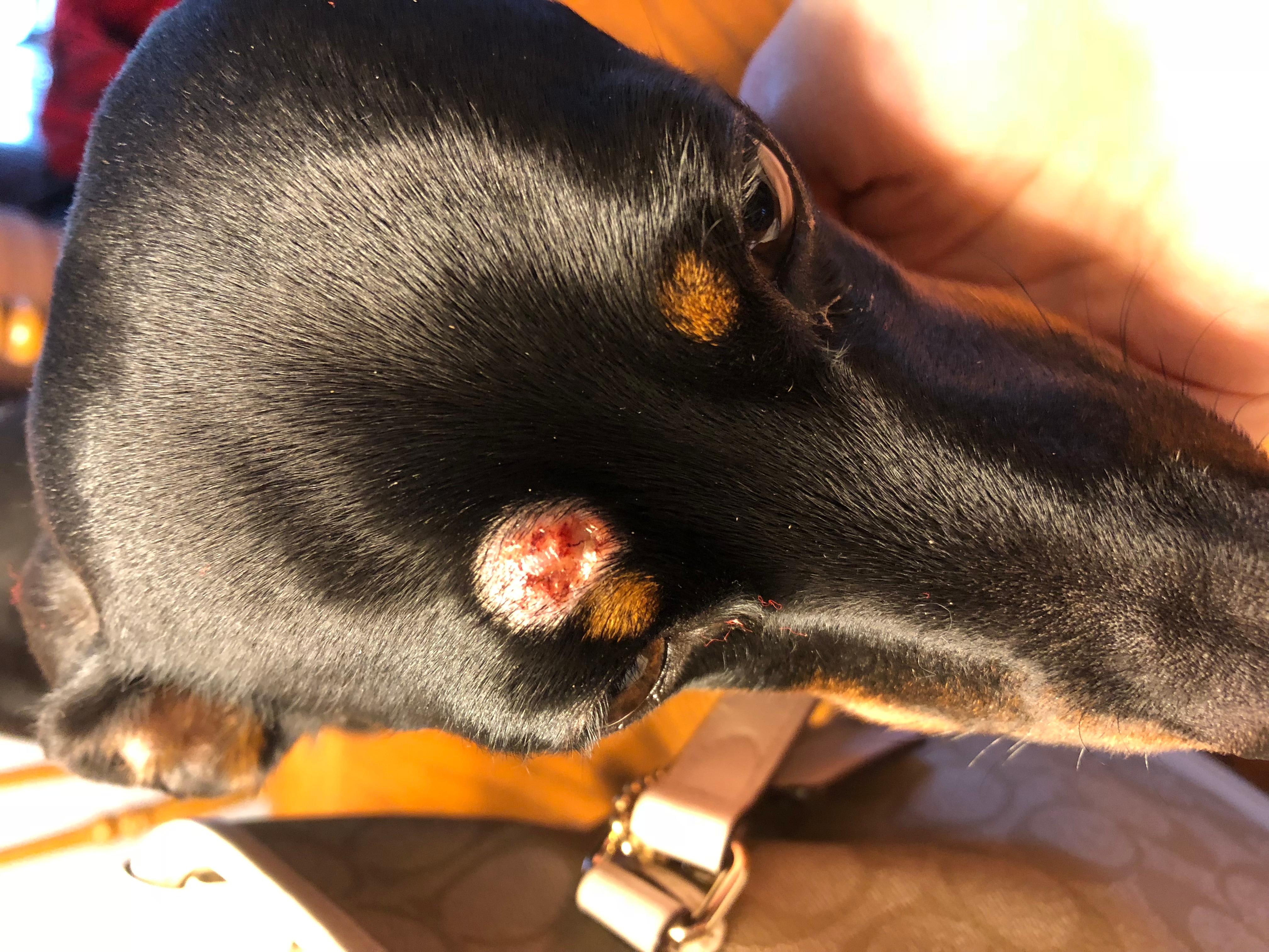 Question details sensitive content