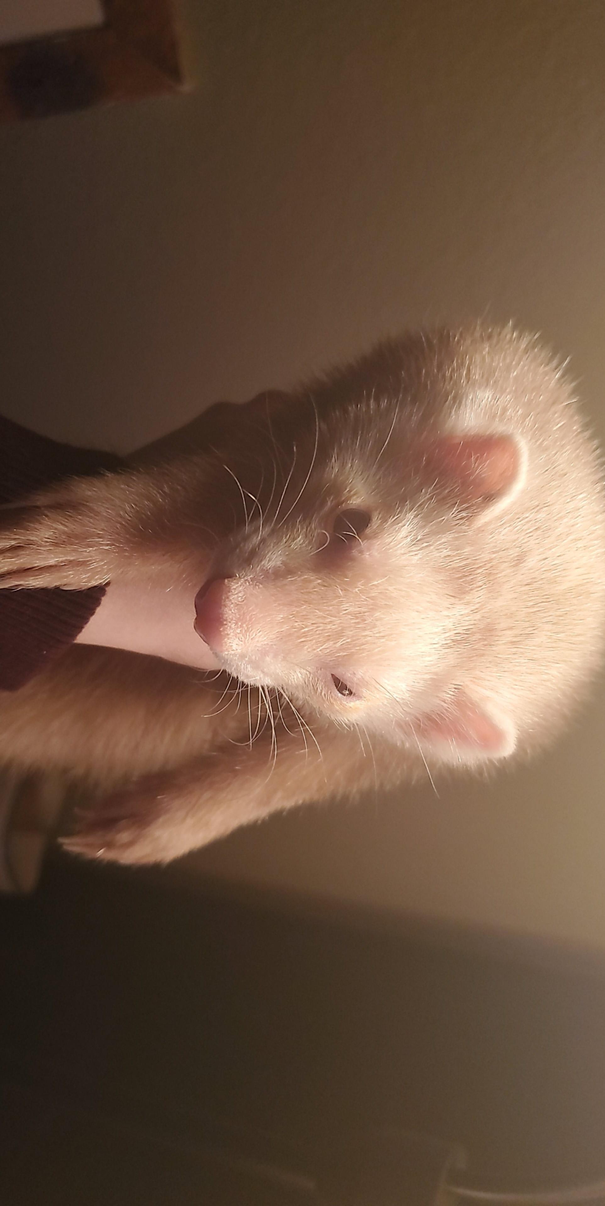 Question details sensitive content