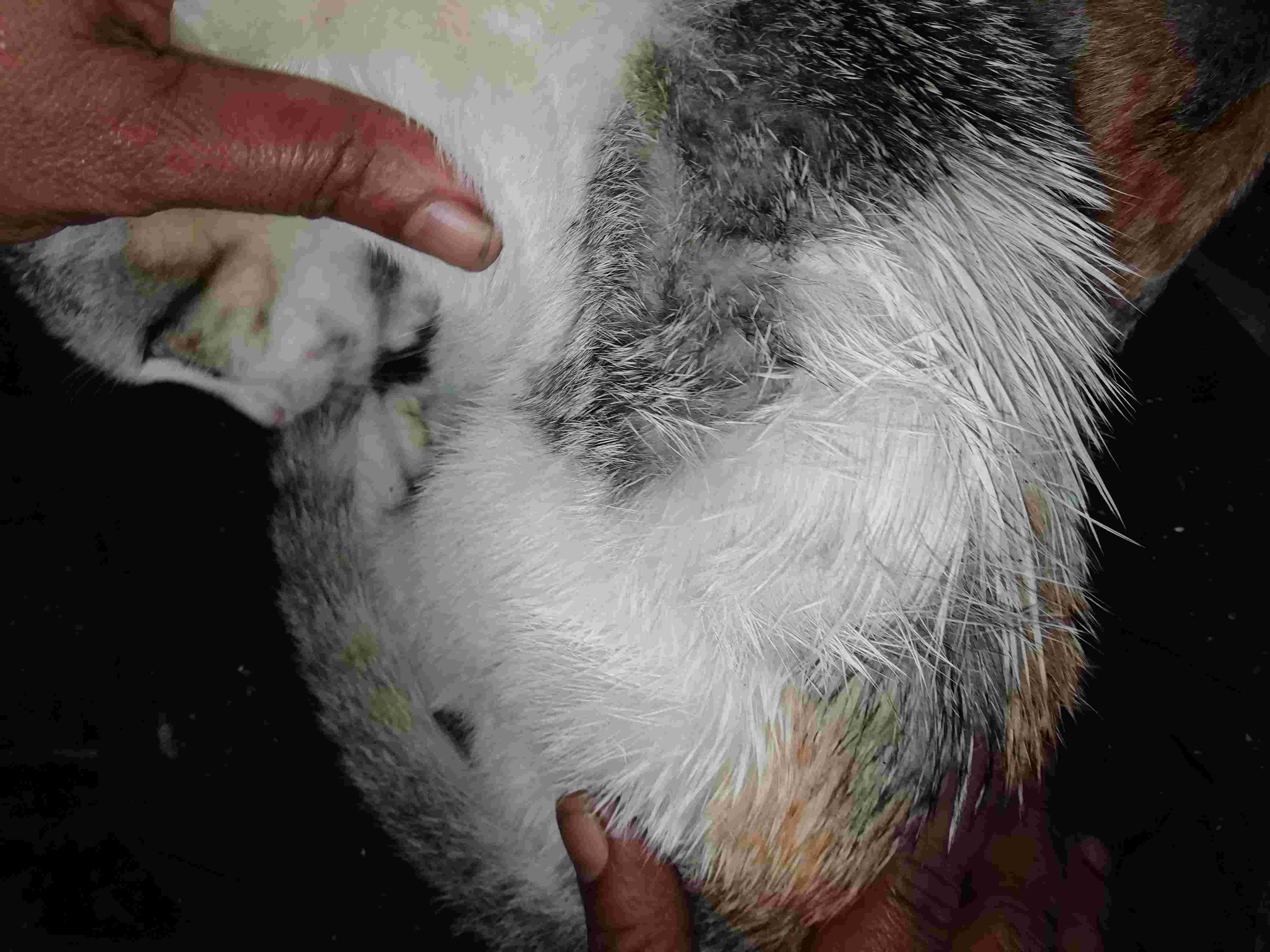 Question details sensitive content