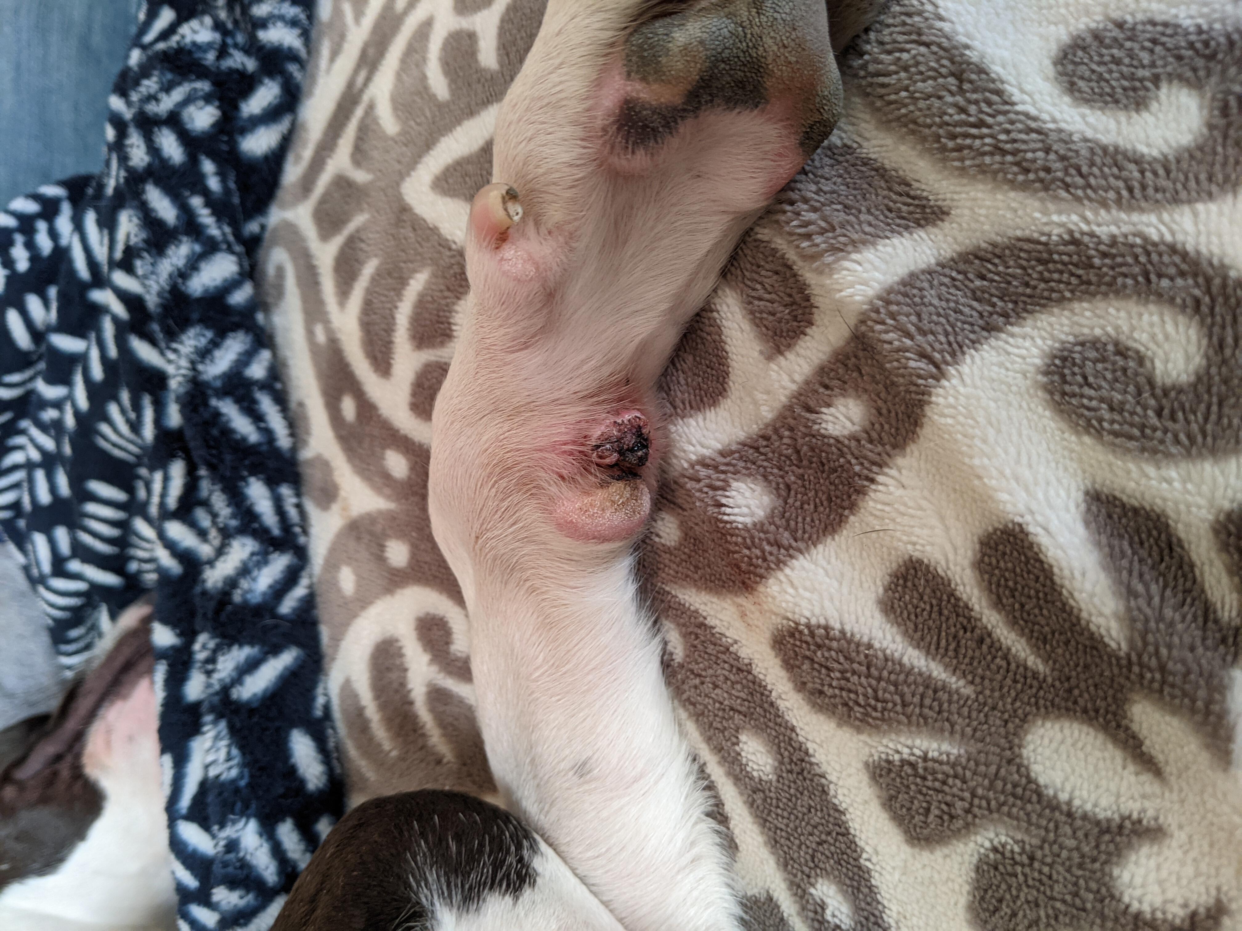 Question details sensitive content