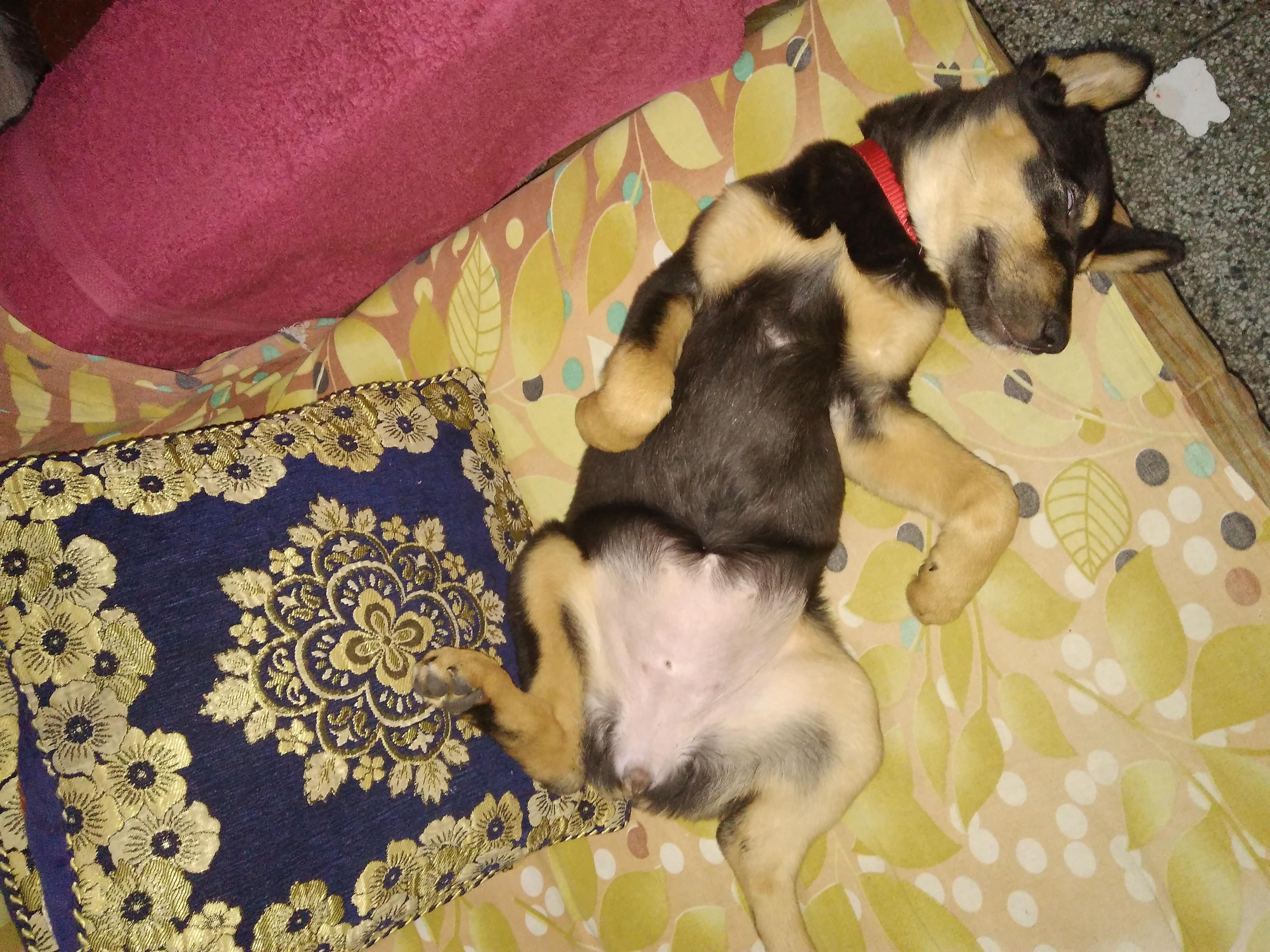 Question details sensitive content