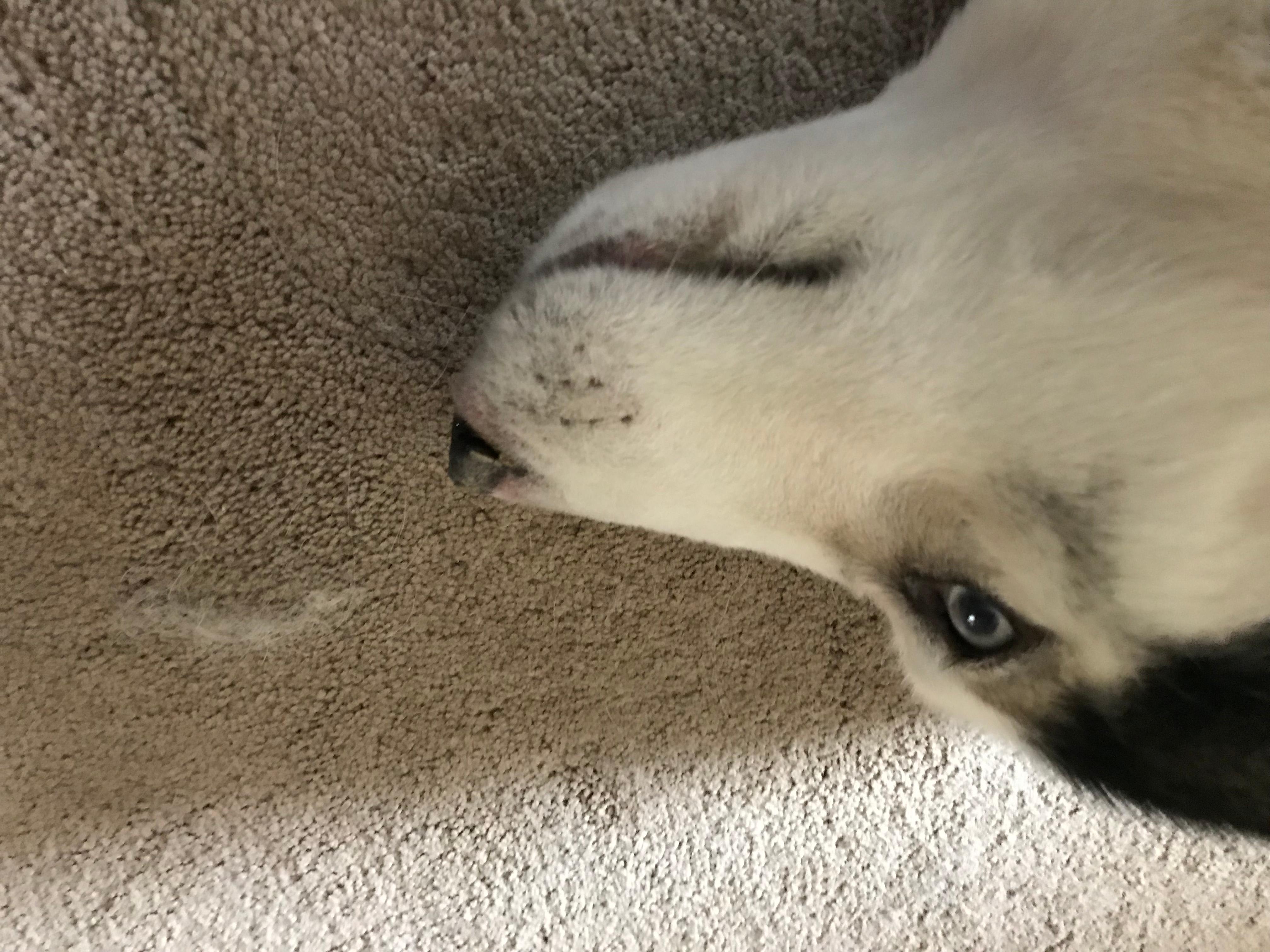 Question details sensitive content