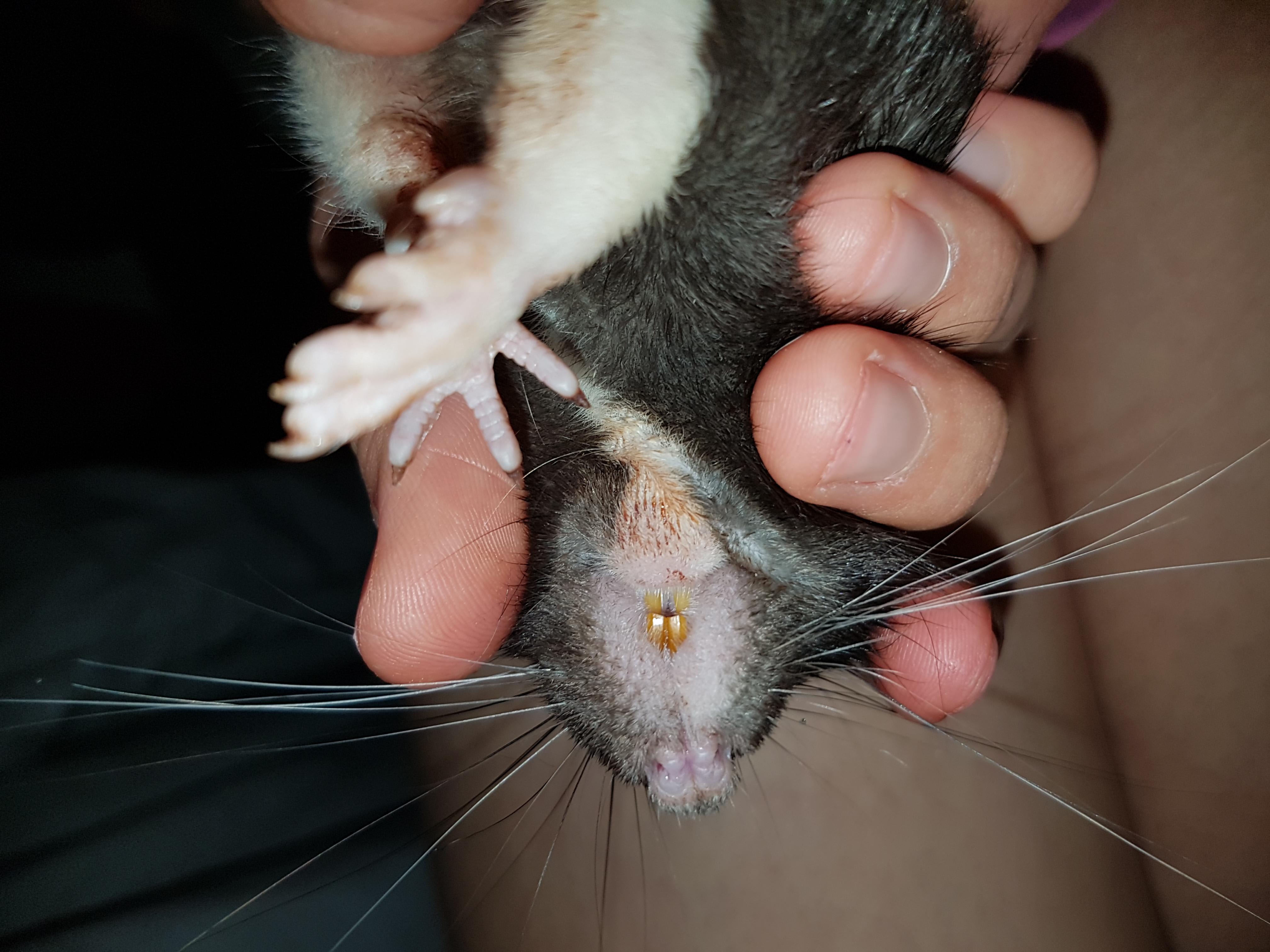 Question details sensitive content