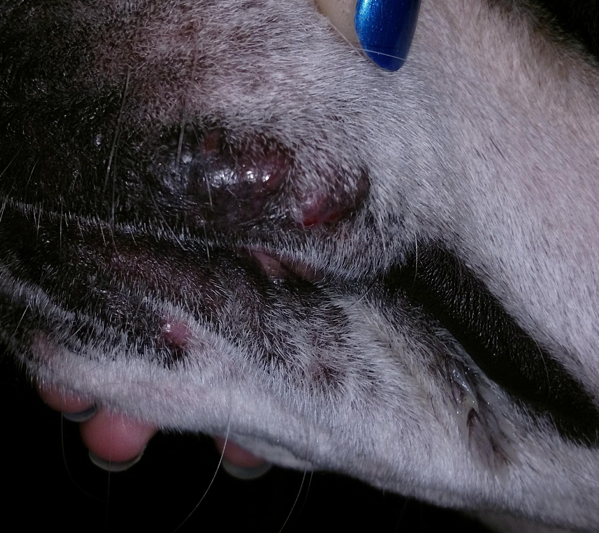 Question details sensitive content