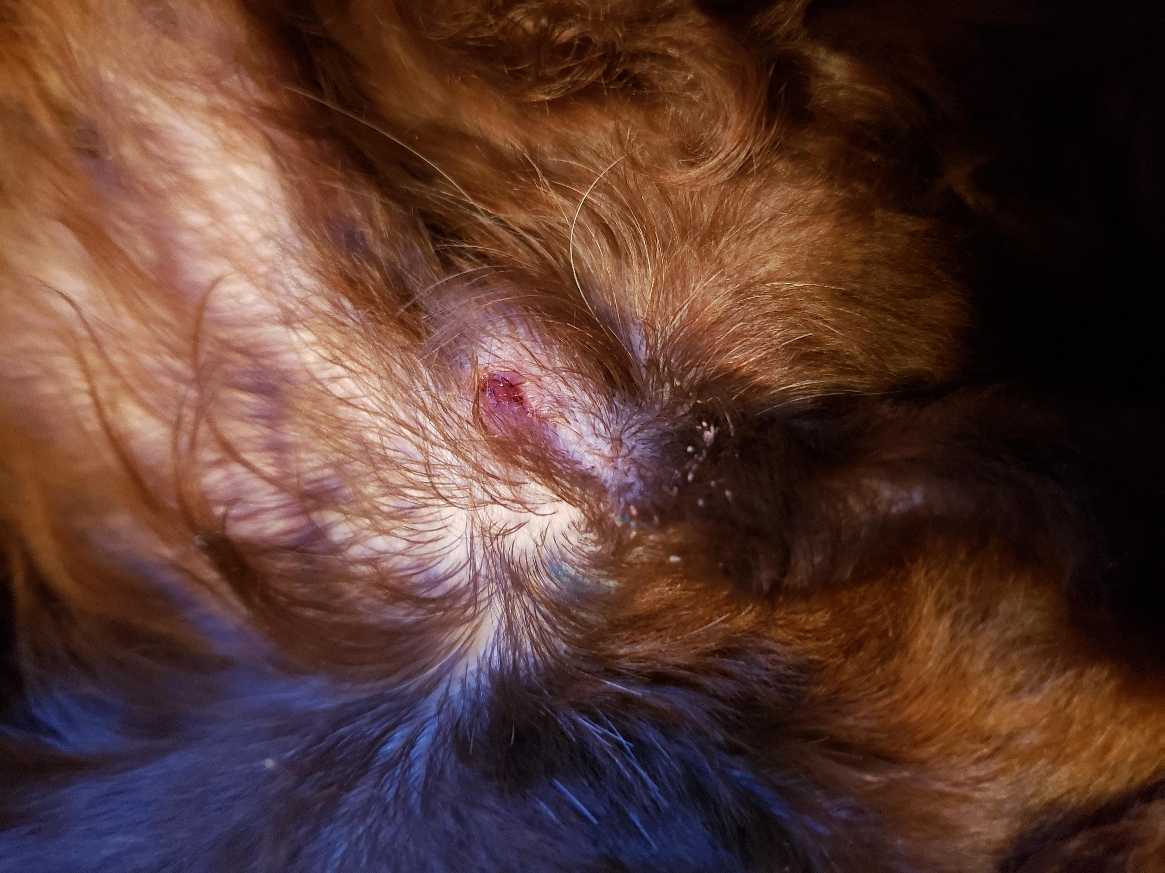 Question details sensitive content