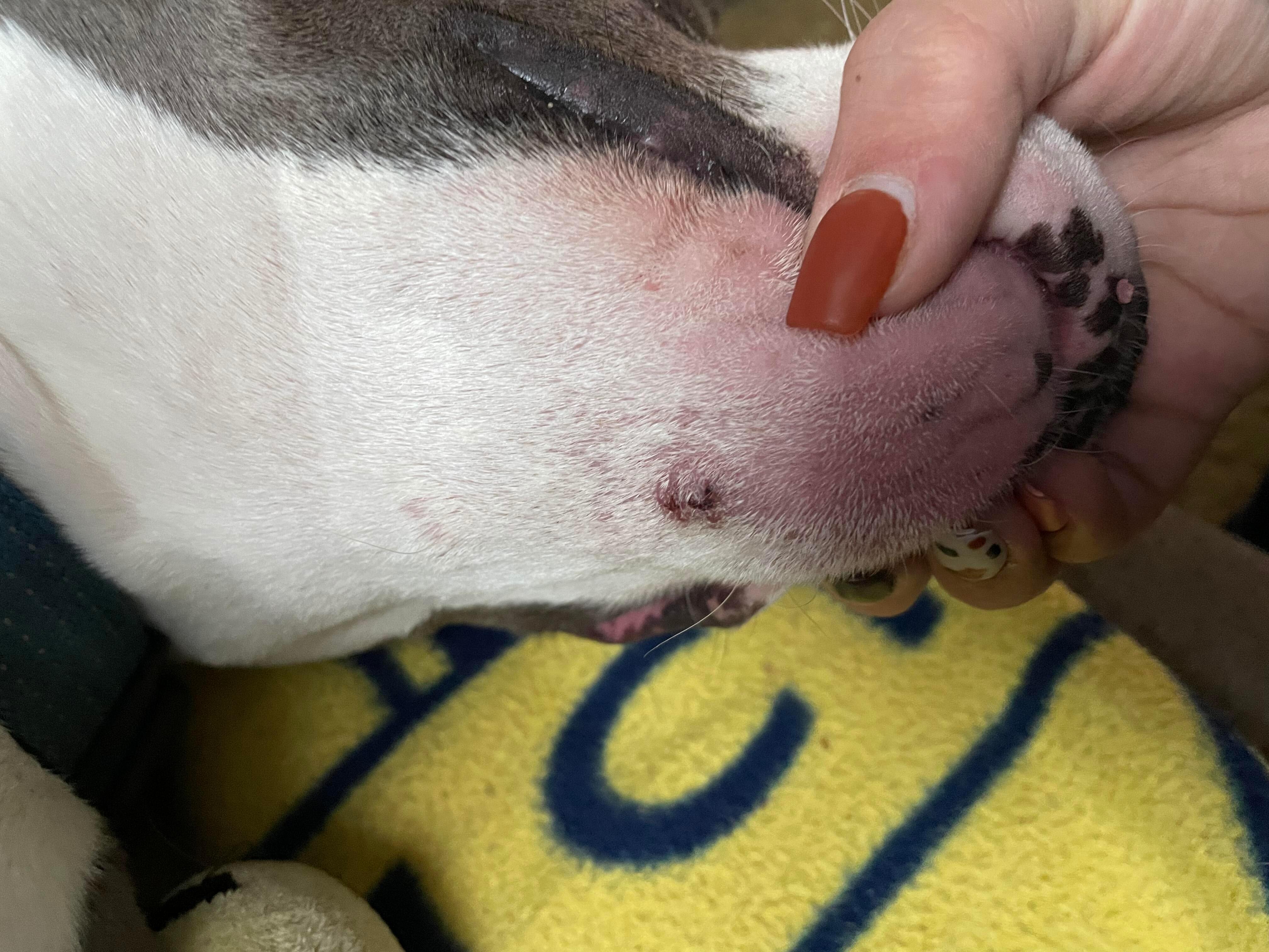 Question details sensitive content