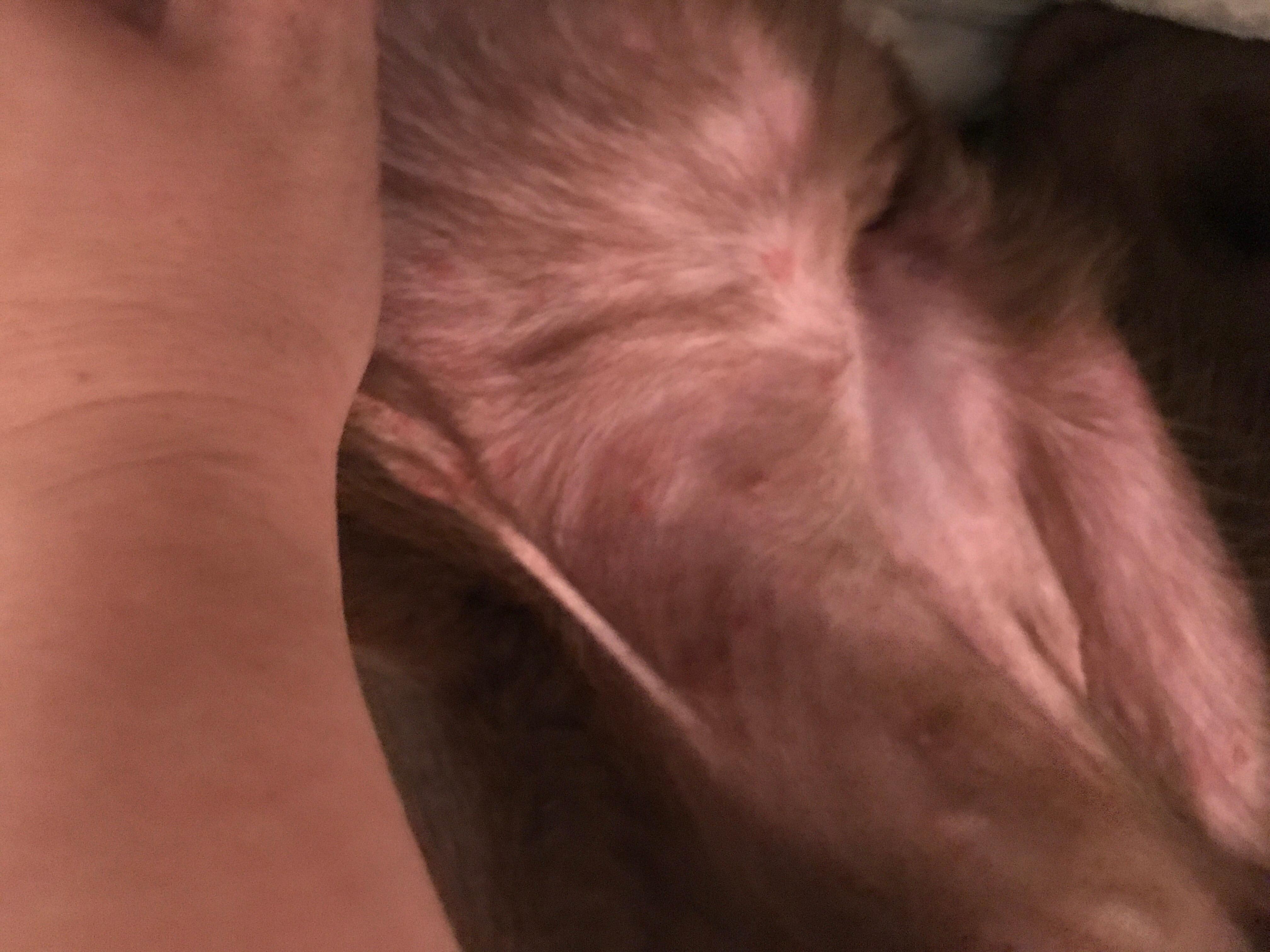 Question details sensitive content