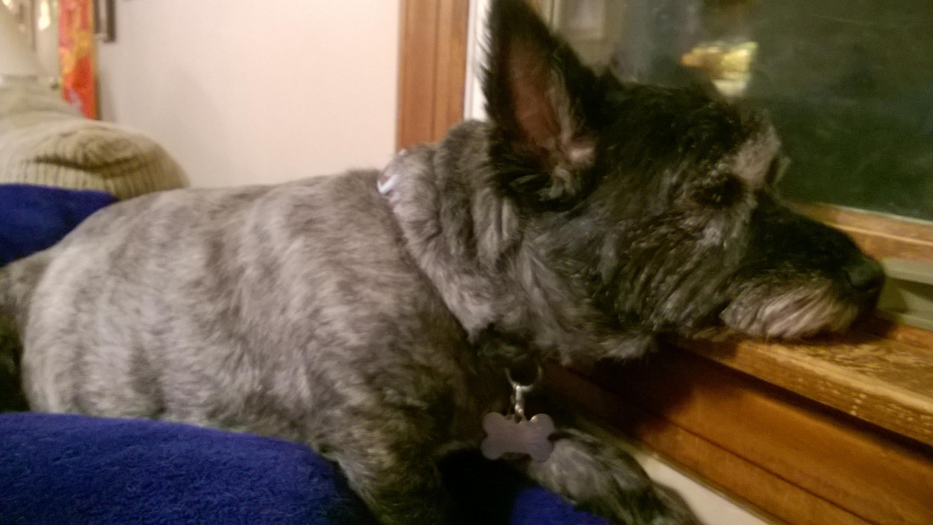 Question details sensitive content