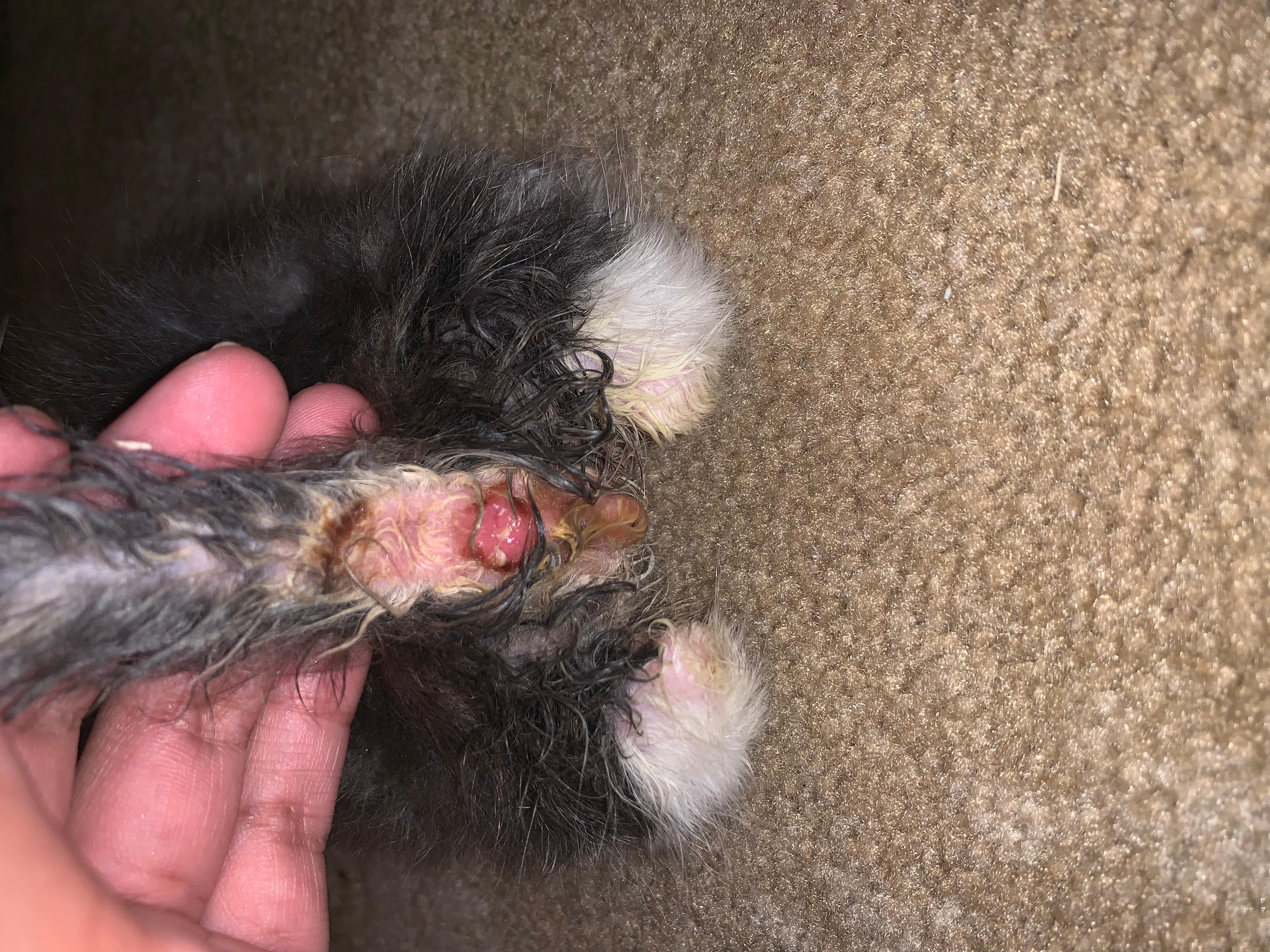 Question details sensitive content