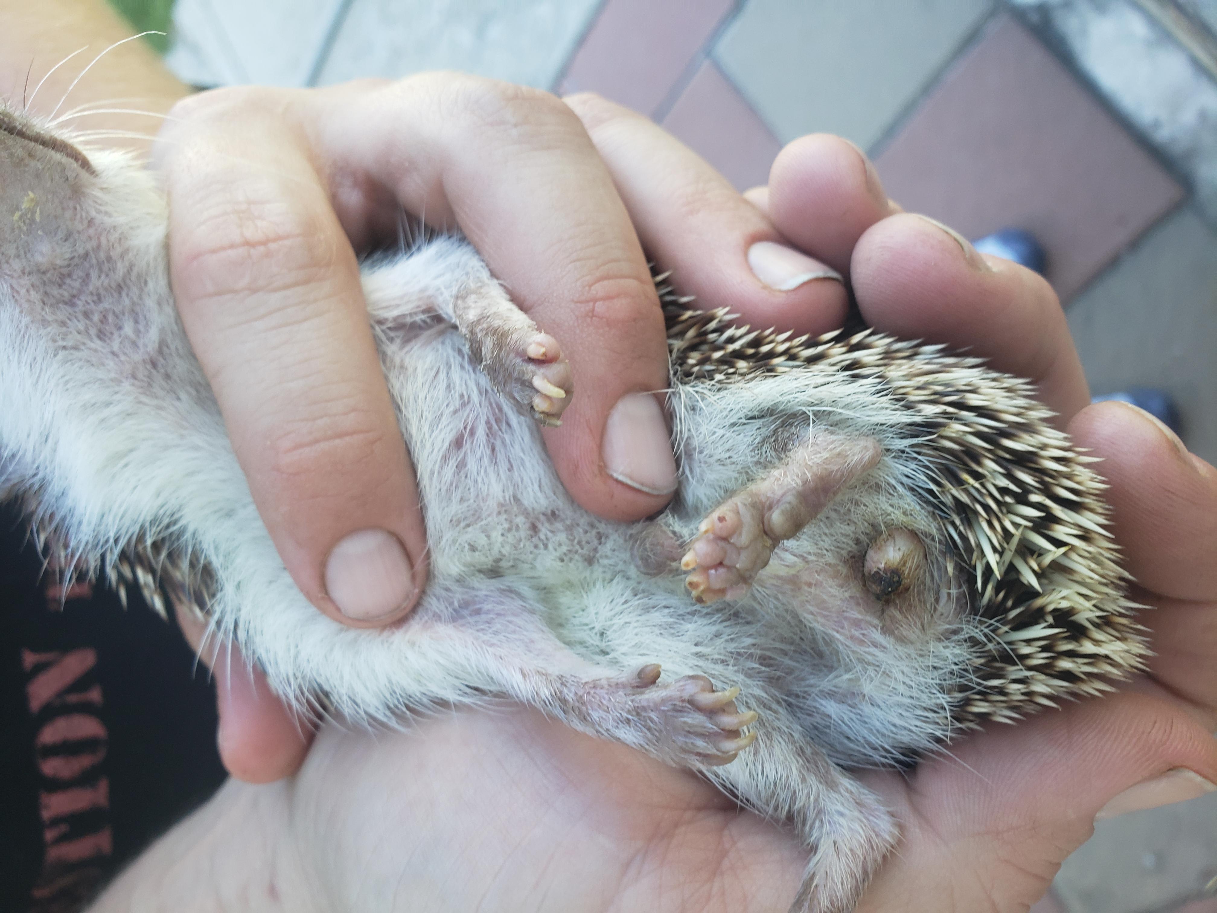 Question details sensitive content