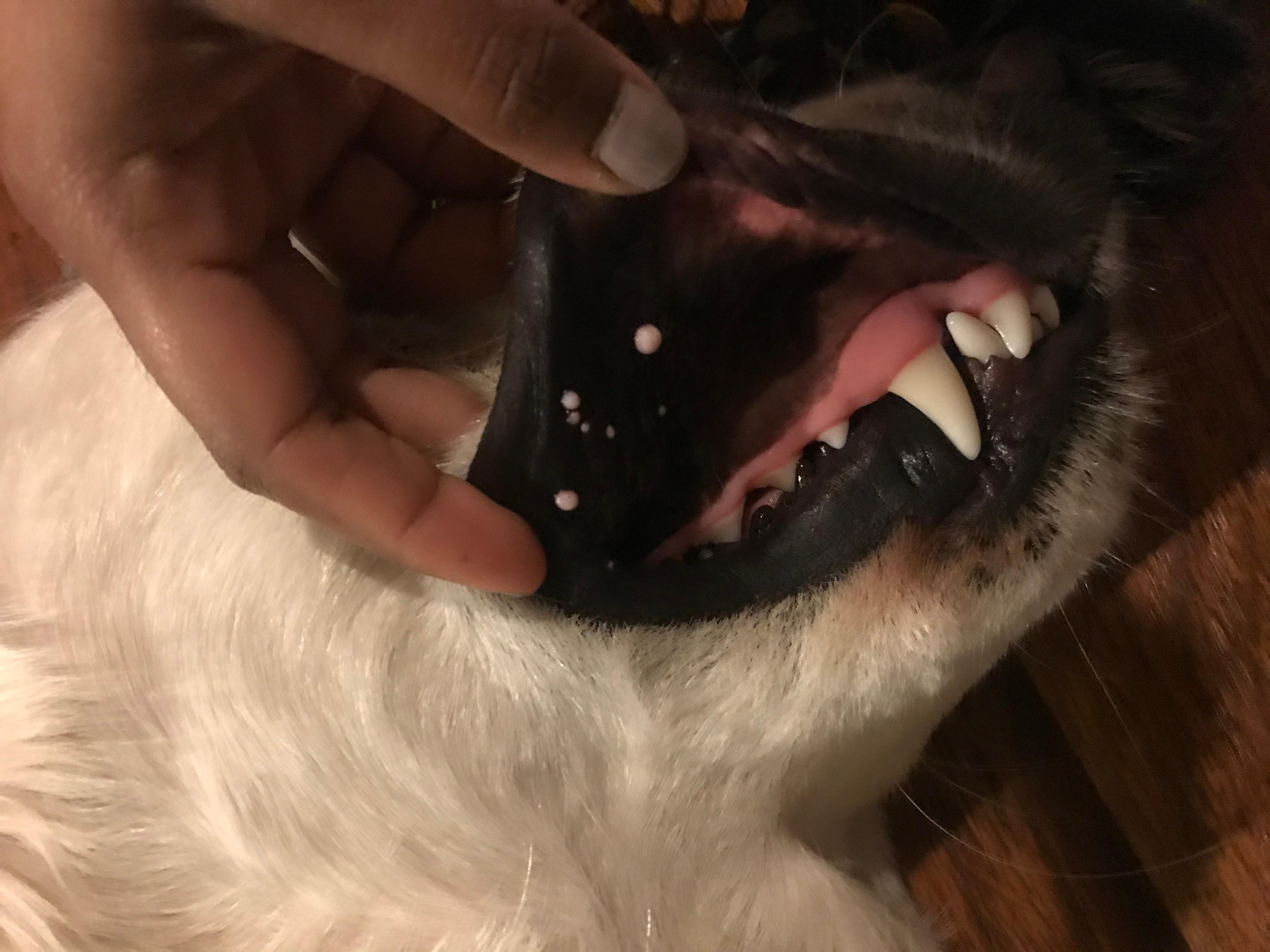 Question details sensitive content