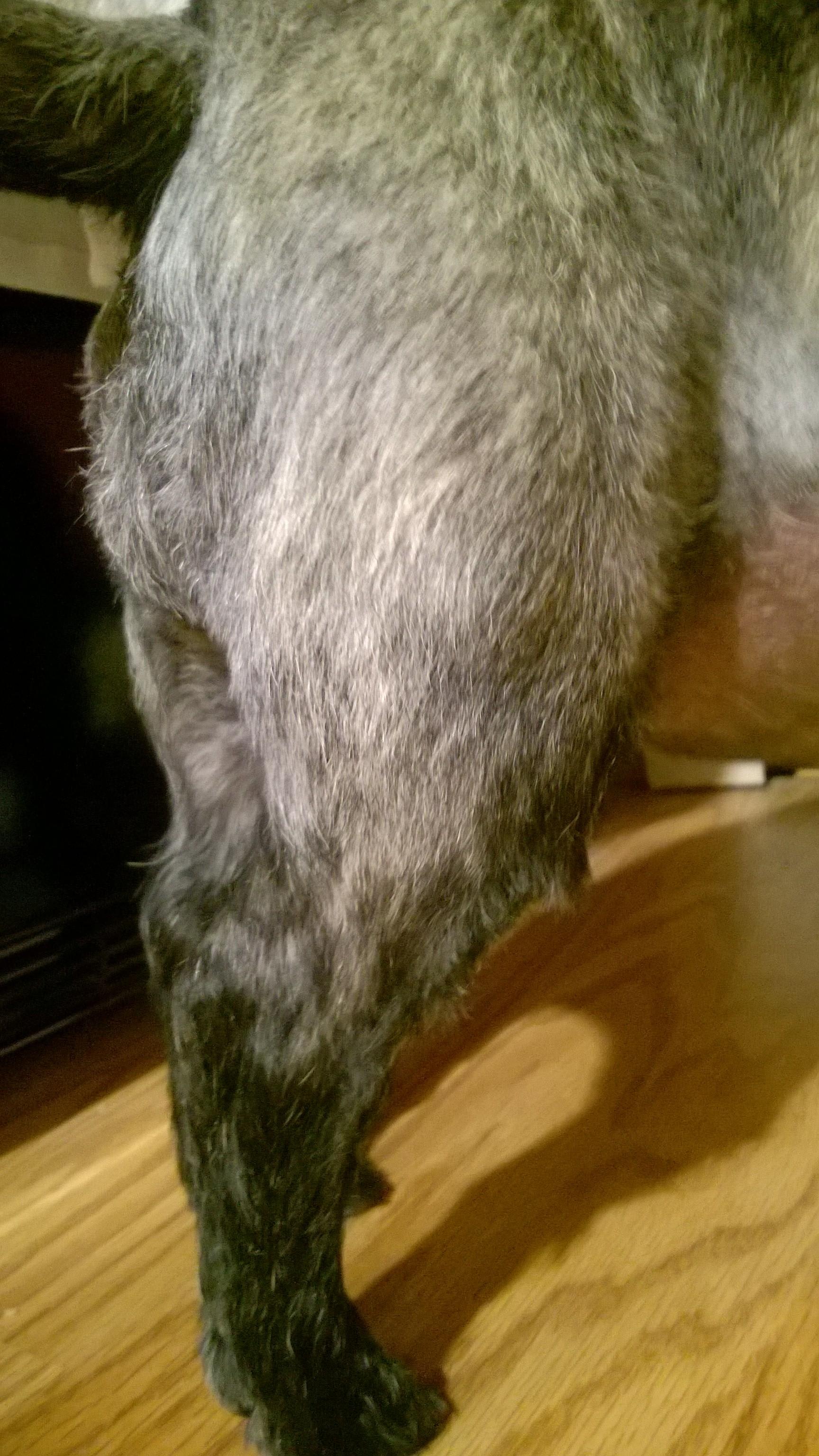 Question details sensitive content