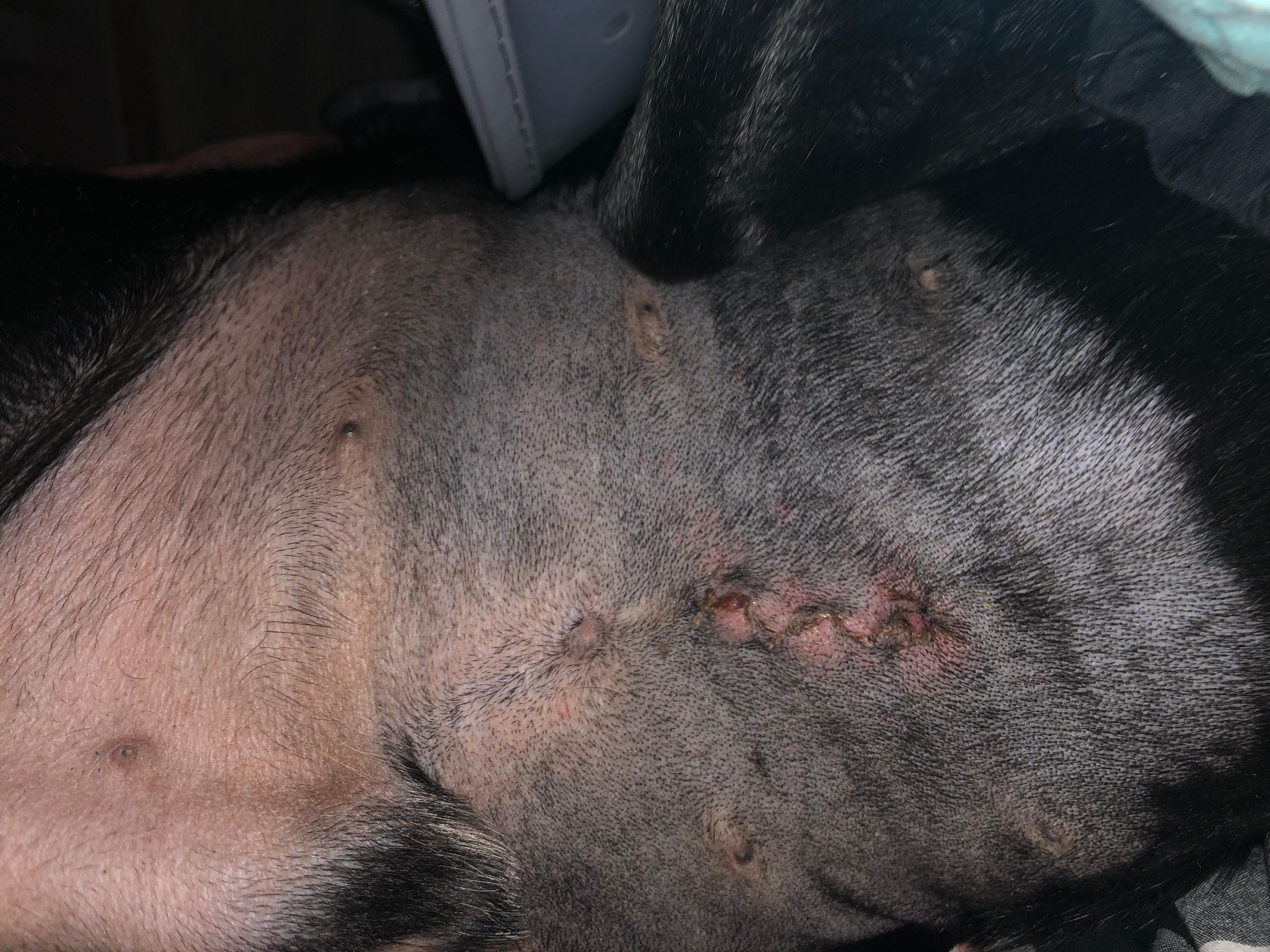 Question details sensitive content