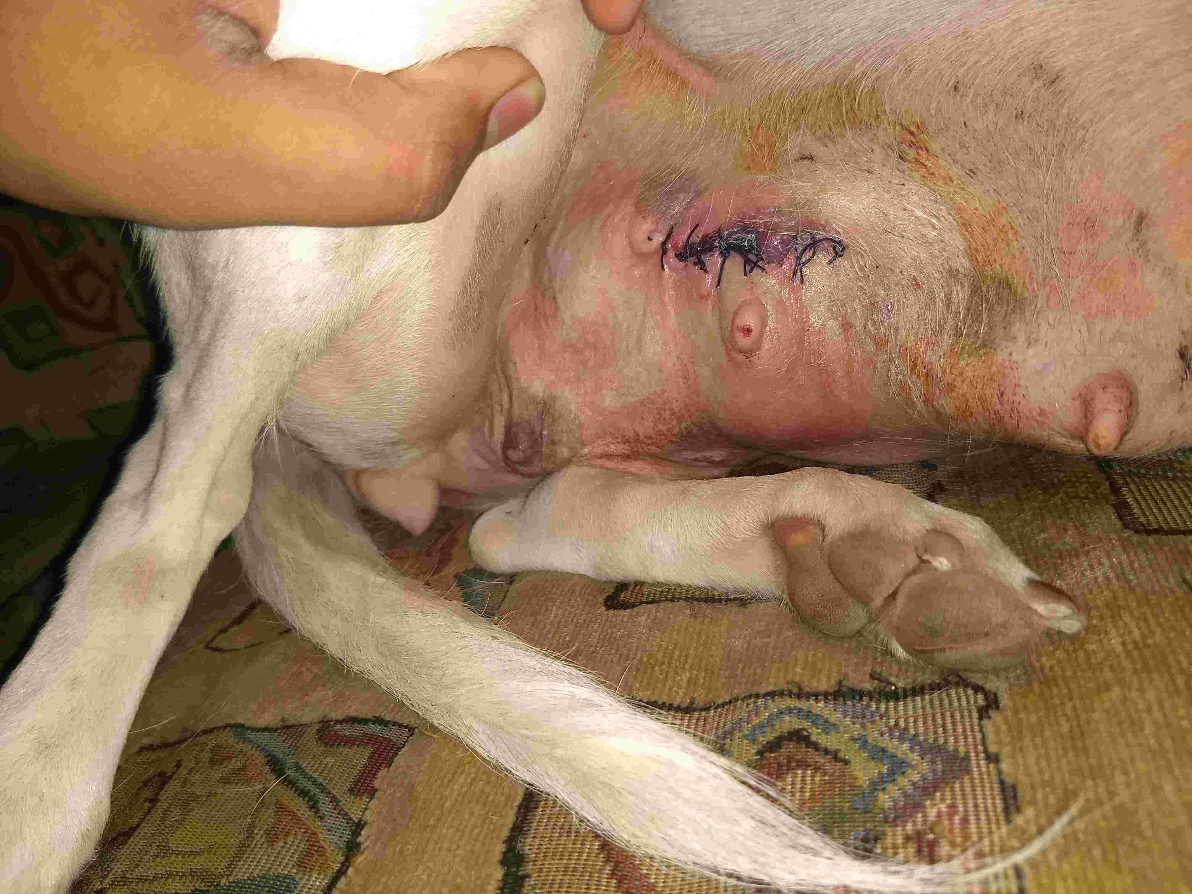 Question details sensitive content