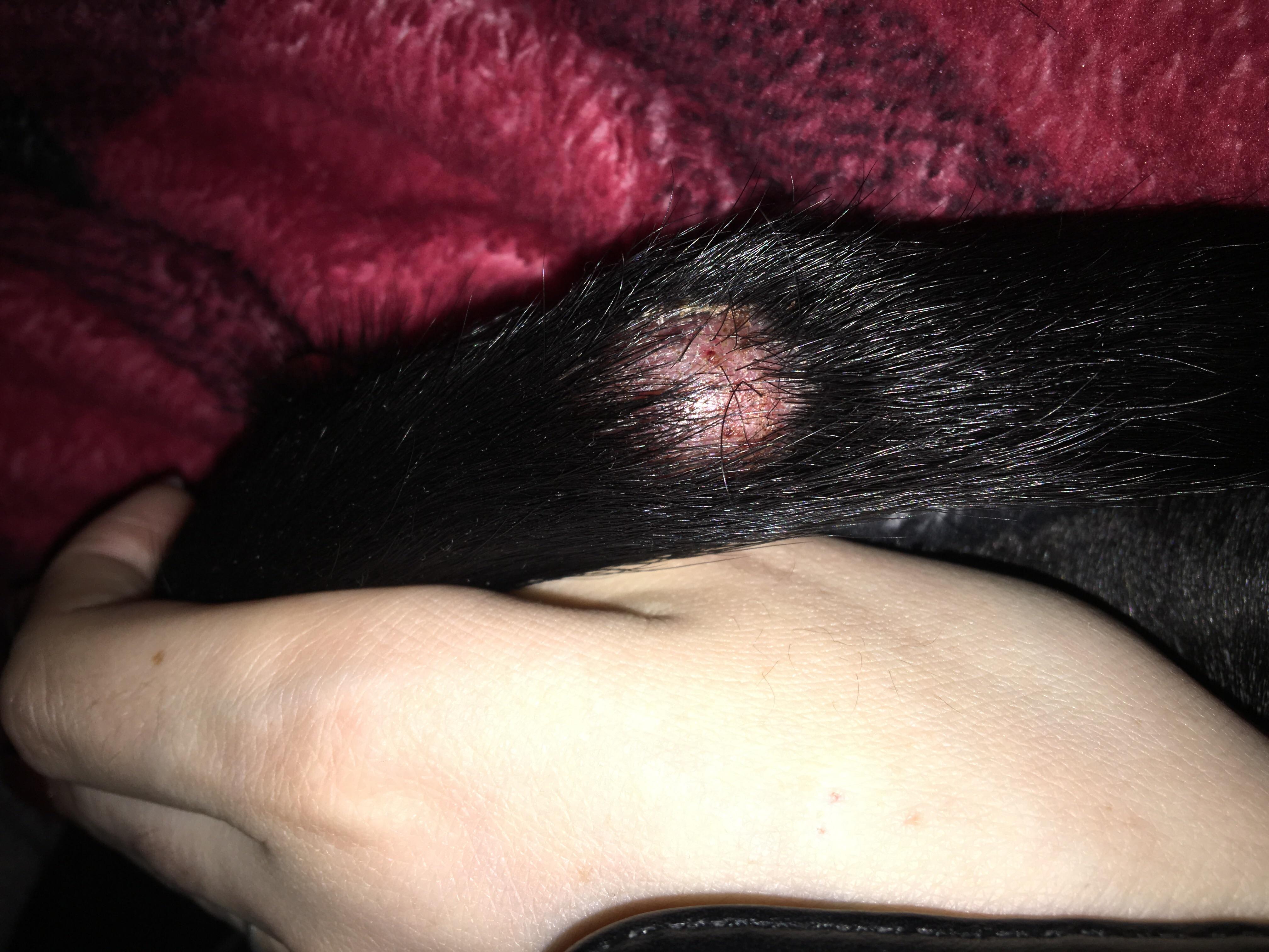 Question details sensitive content