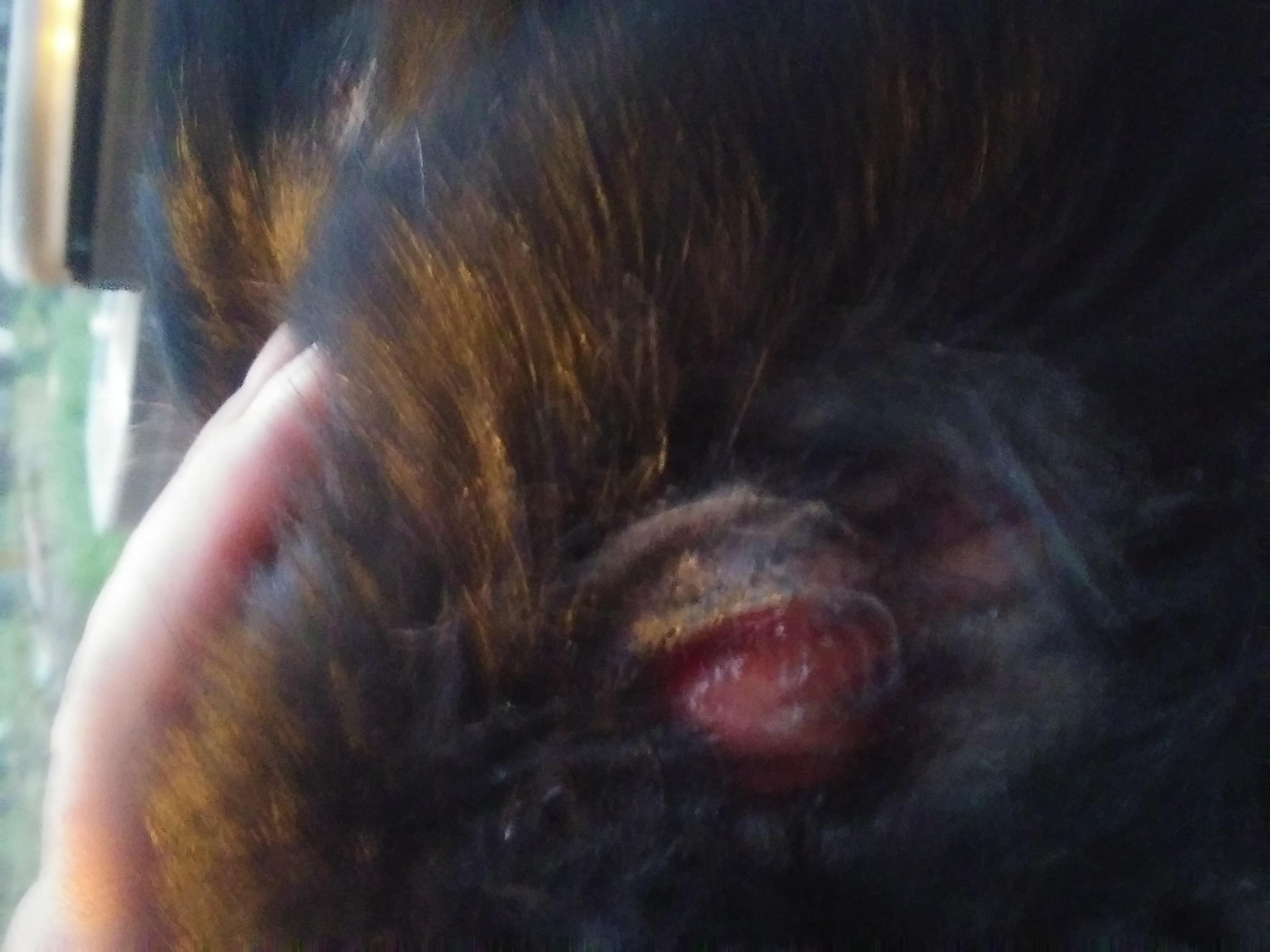 Question details sensitive content