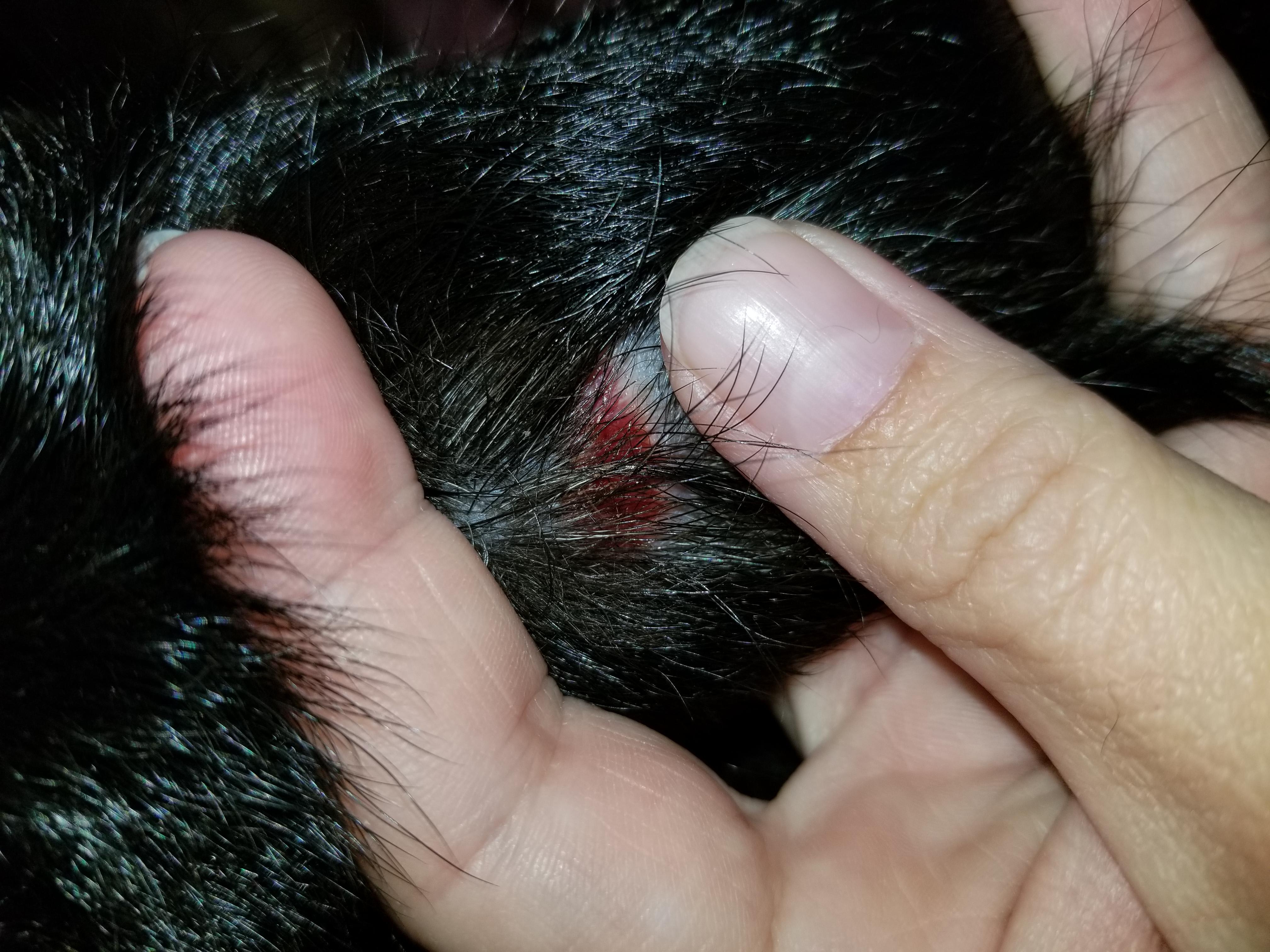 Question details sensitive content