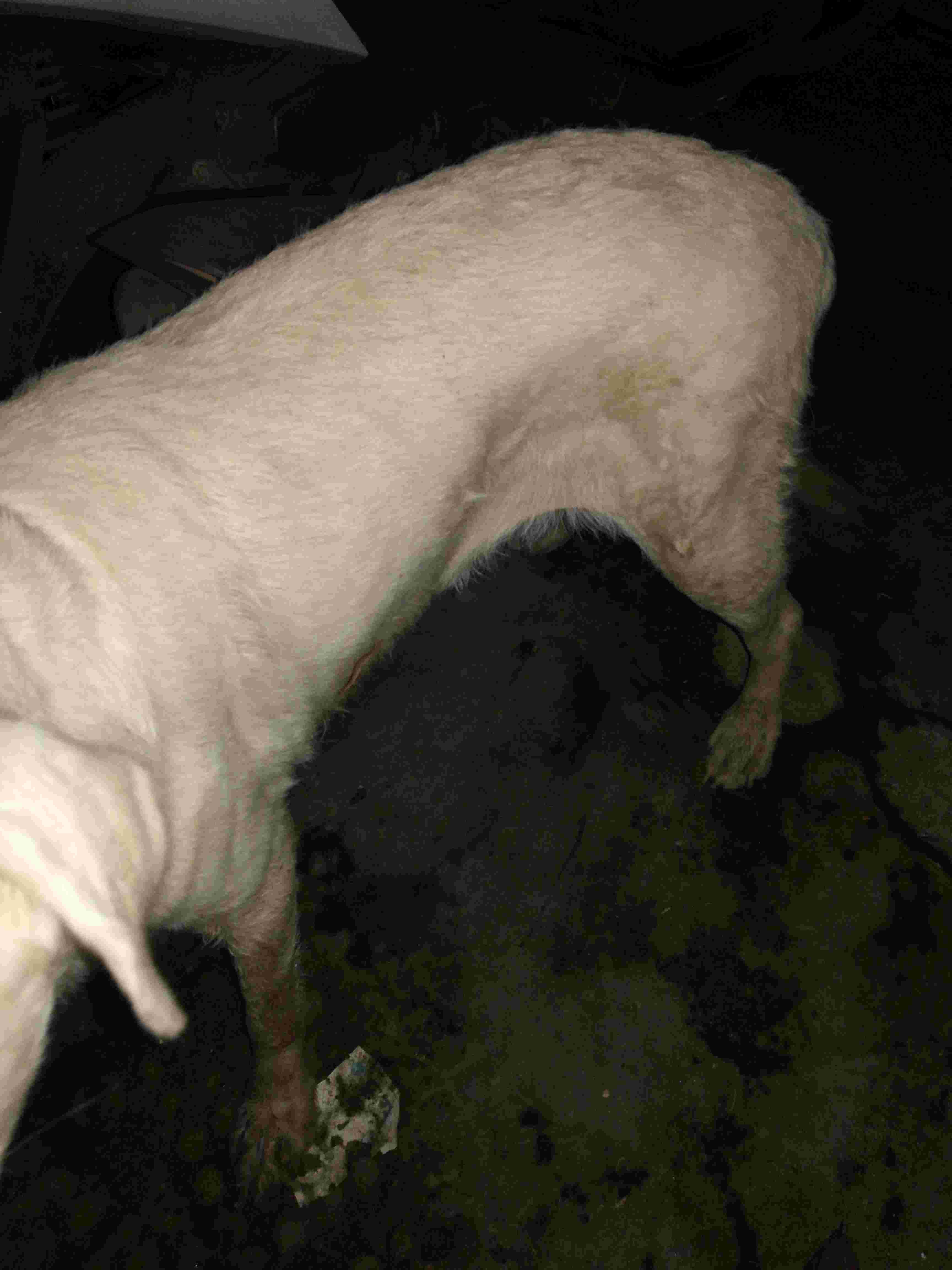 Question details sensitive content