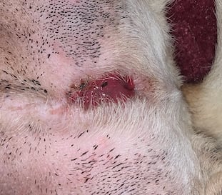 Question details sensitive content