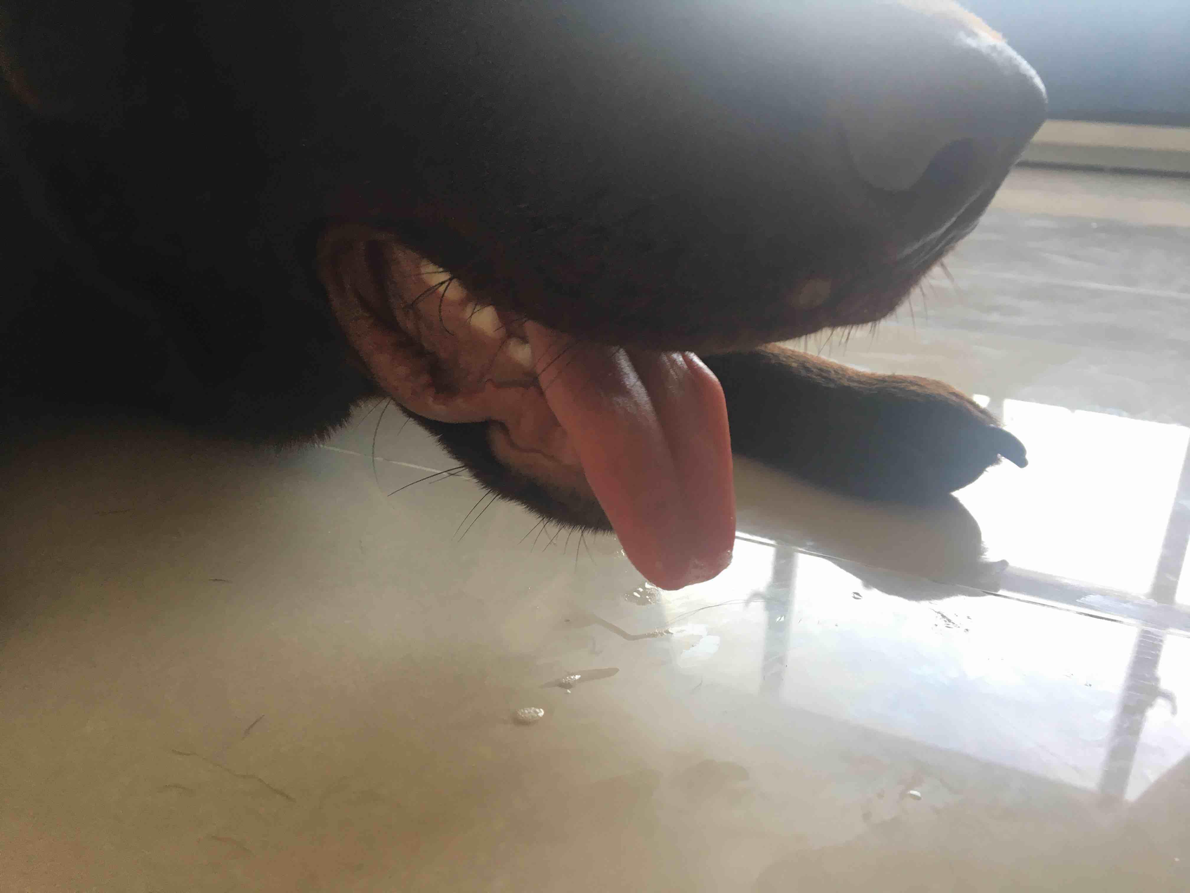 Question details sensitive content