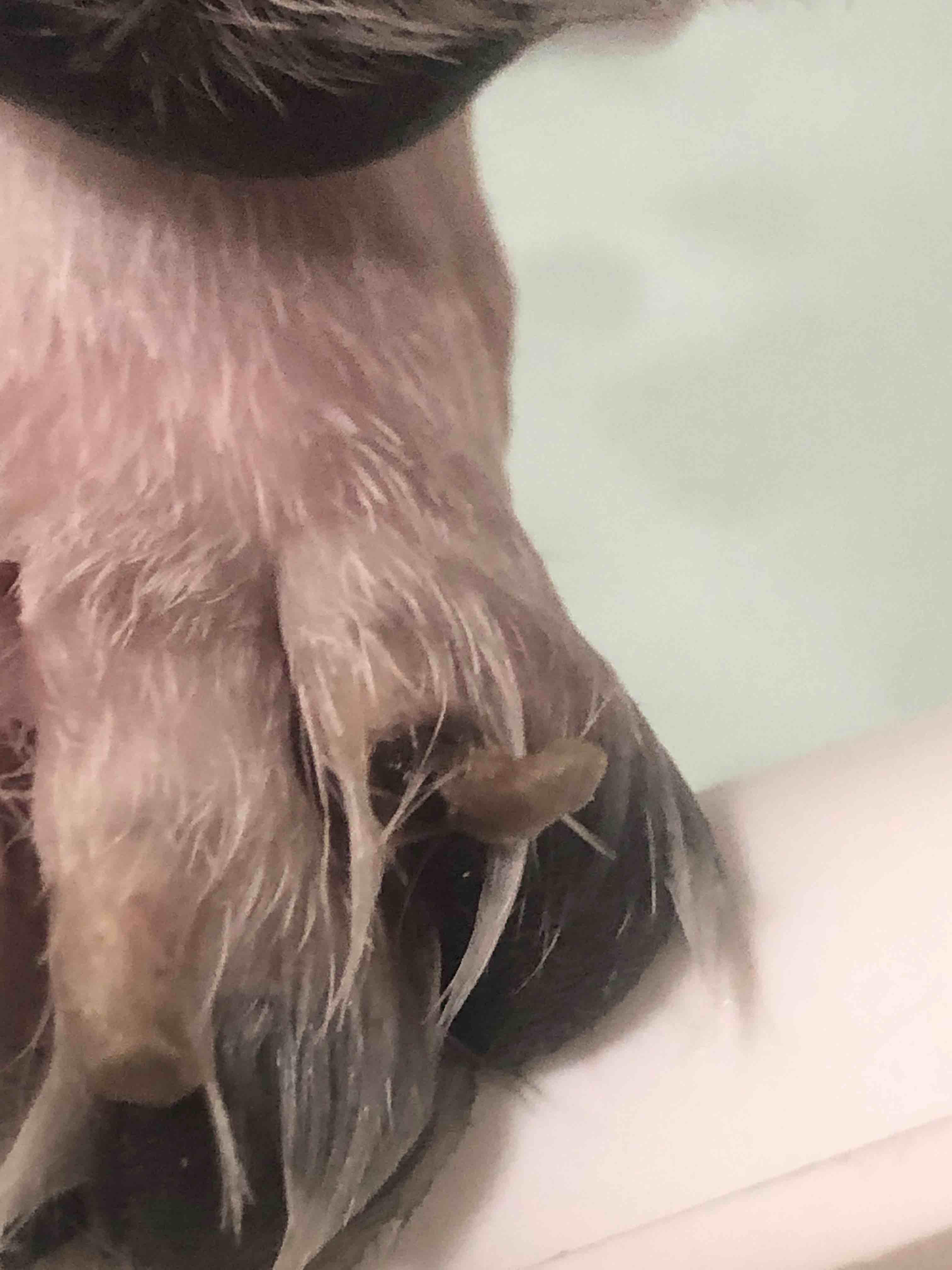 Question details sensitive content