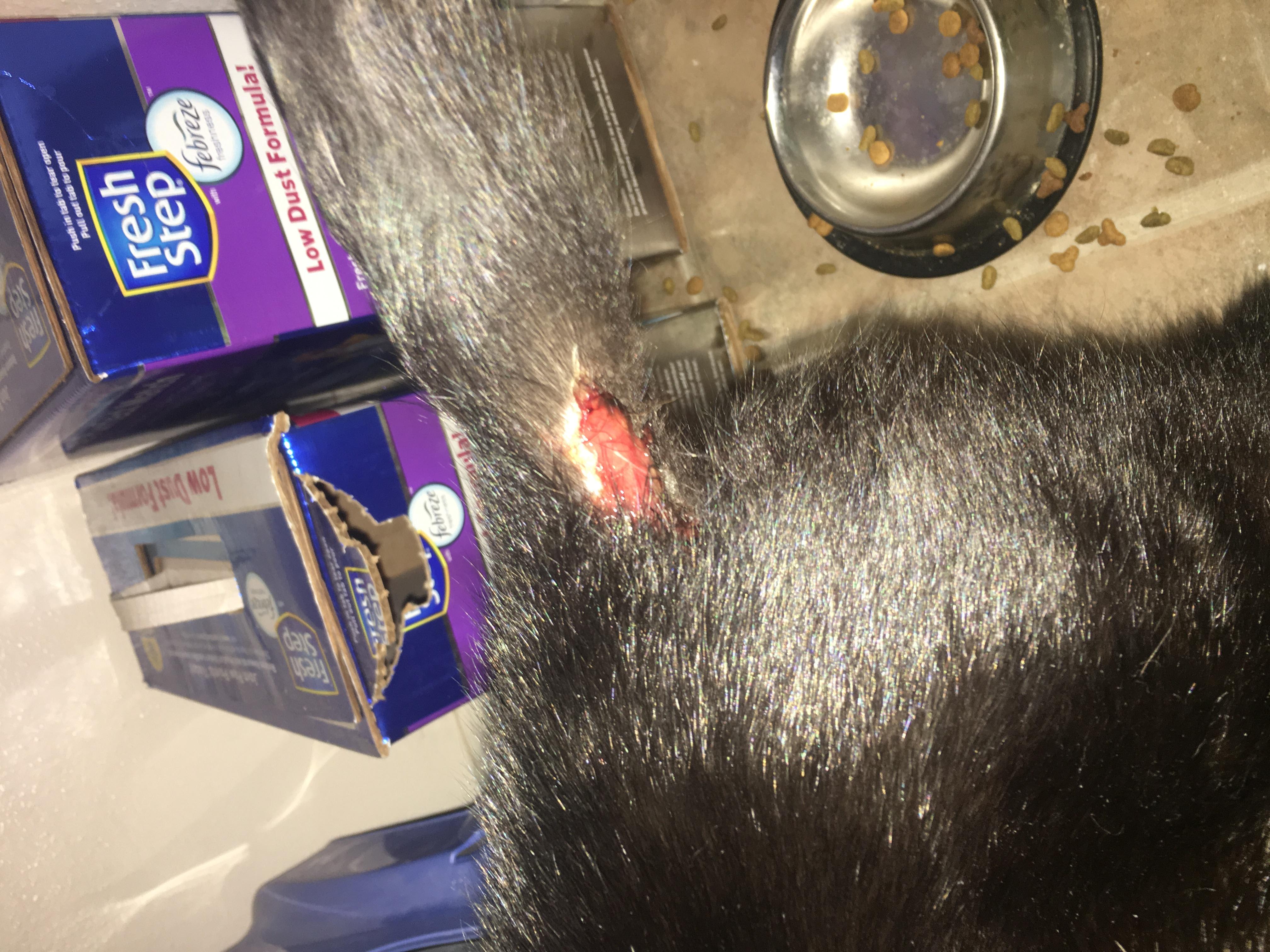 Question details sensitive content