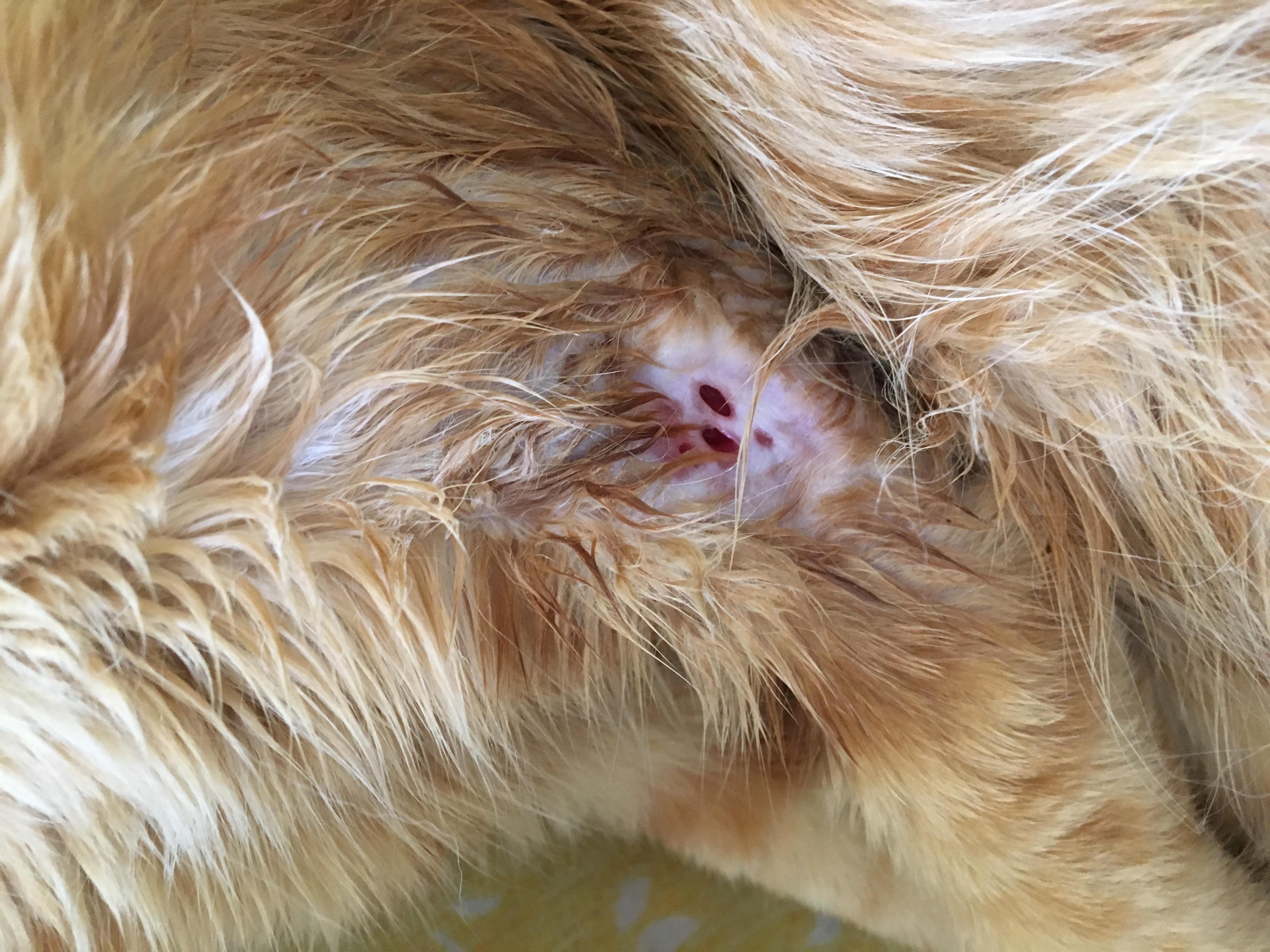 Question details sensitive content