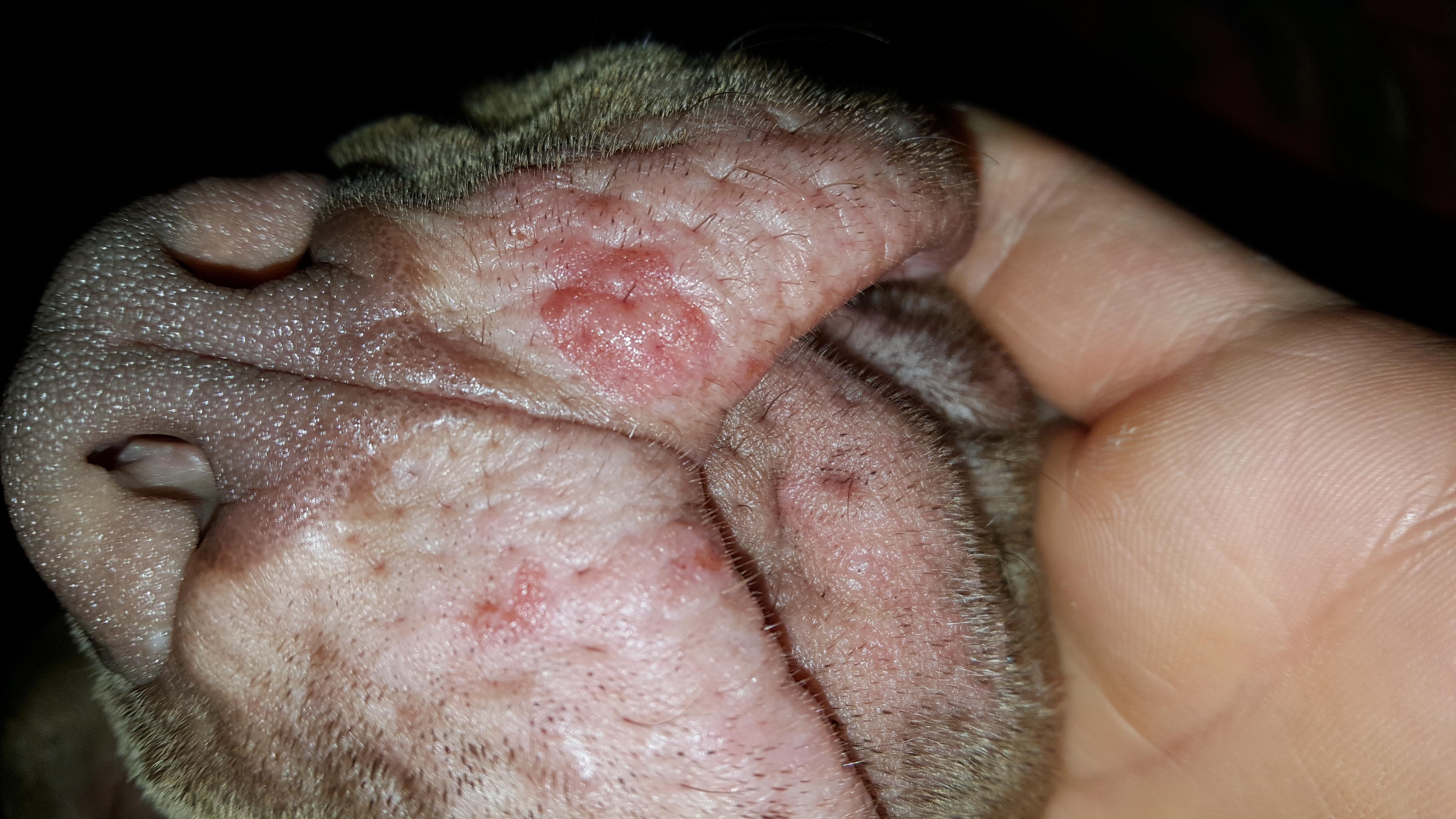 Question details sensitive content