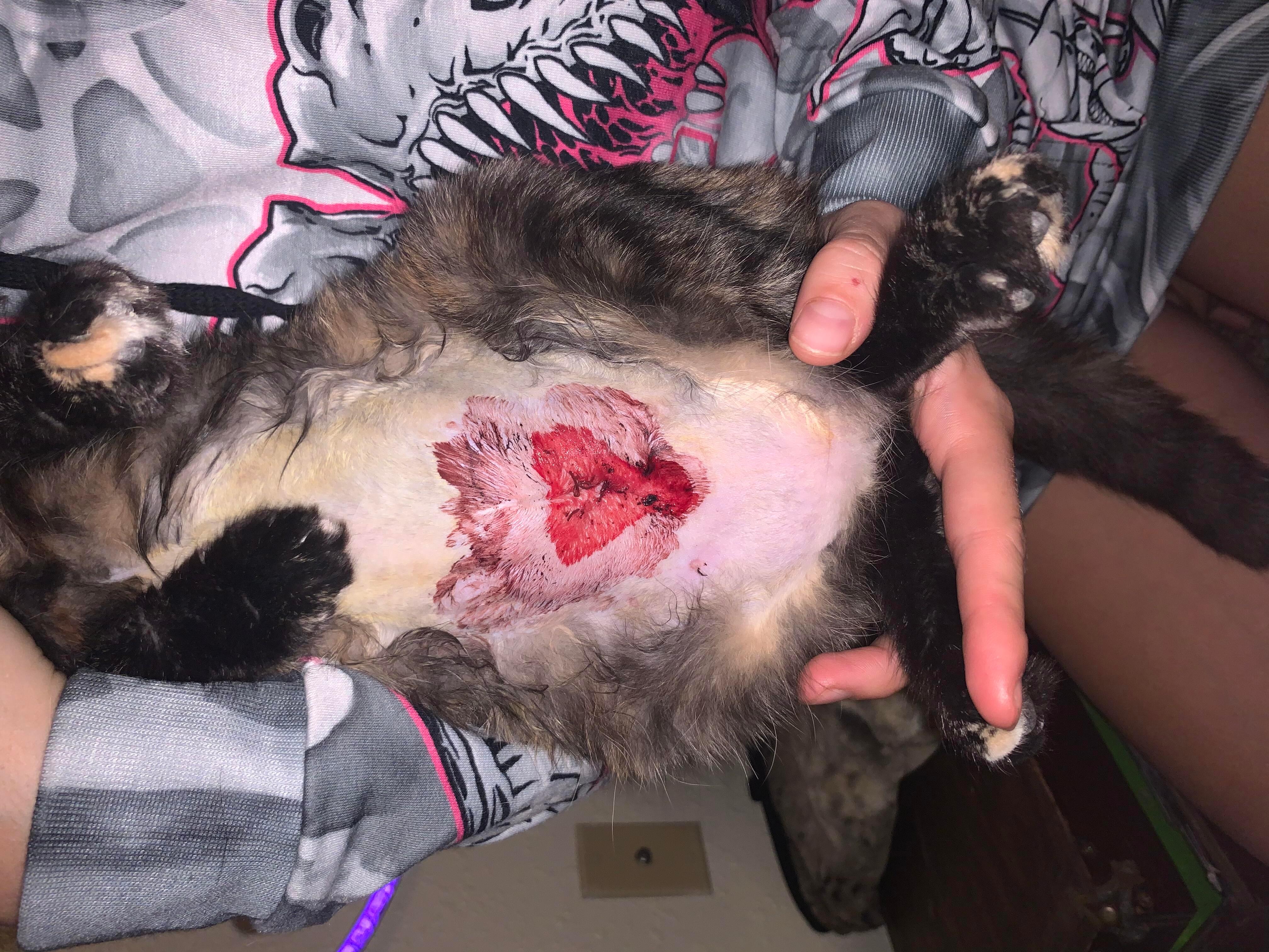 Question details sensitive content