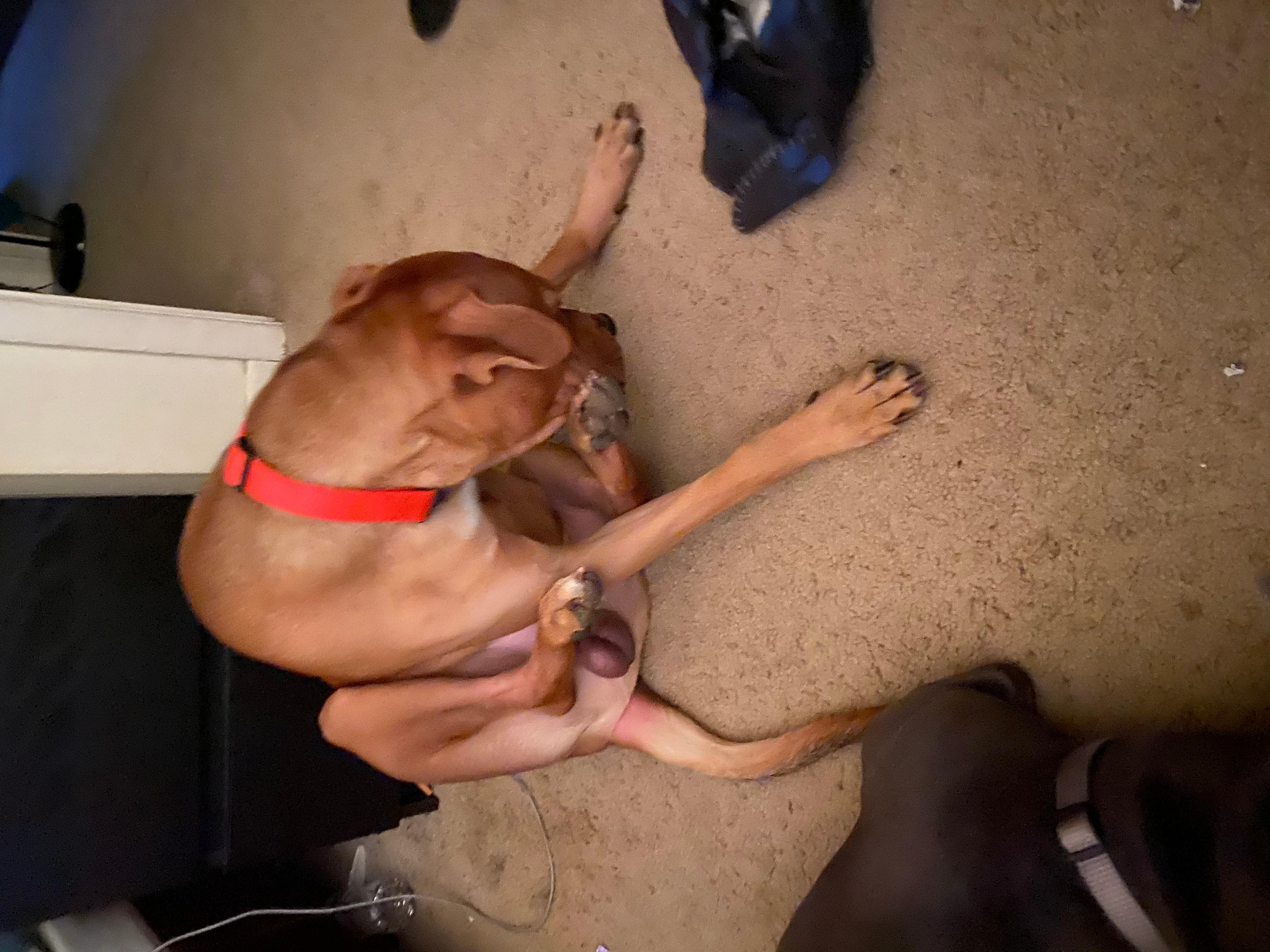 Question details sensitive content