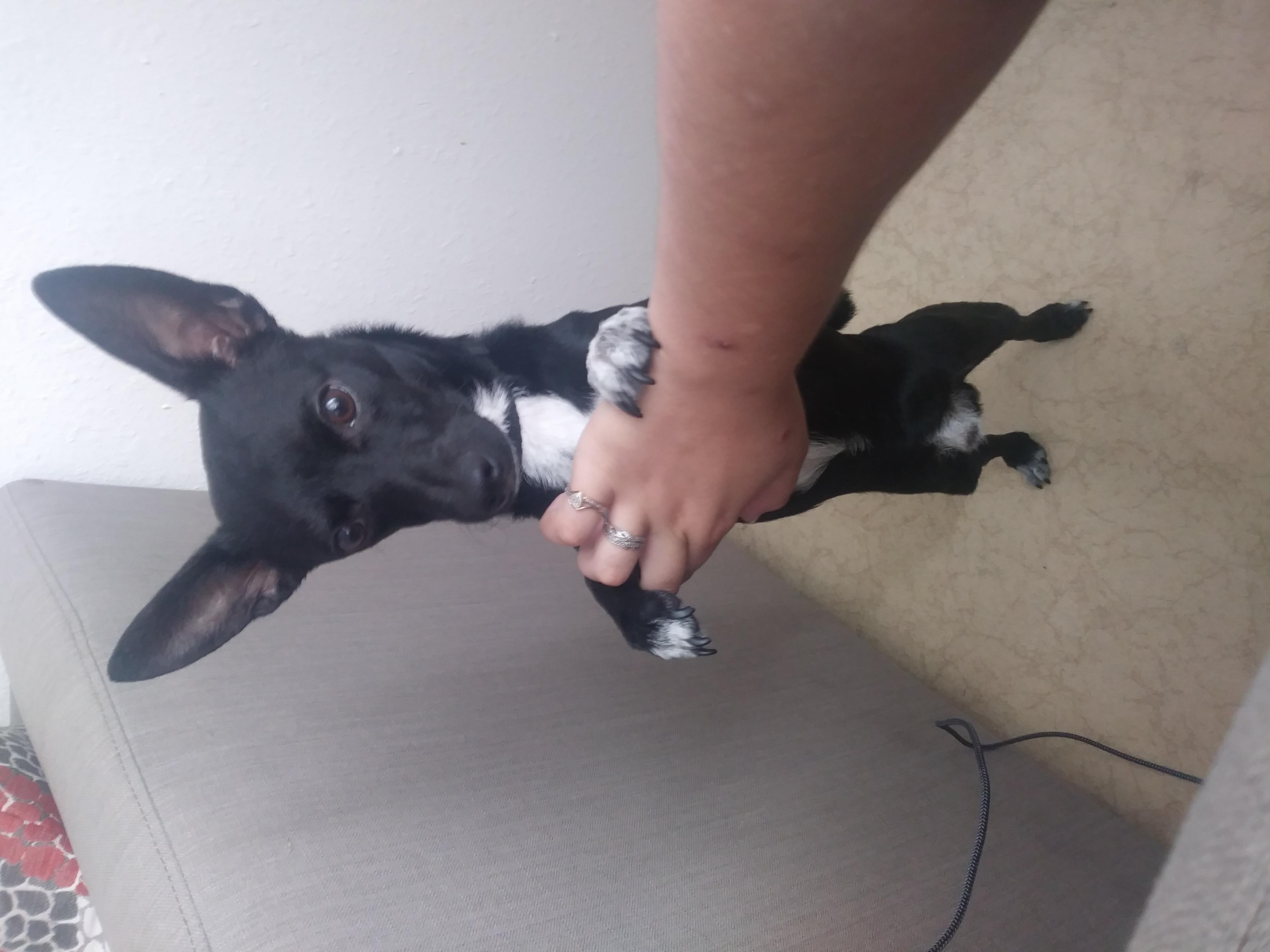 Question details sensitive content