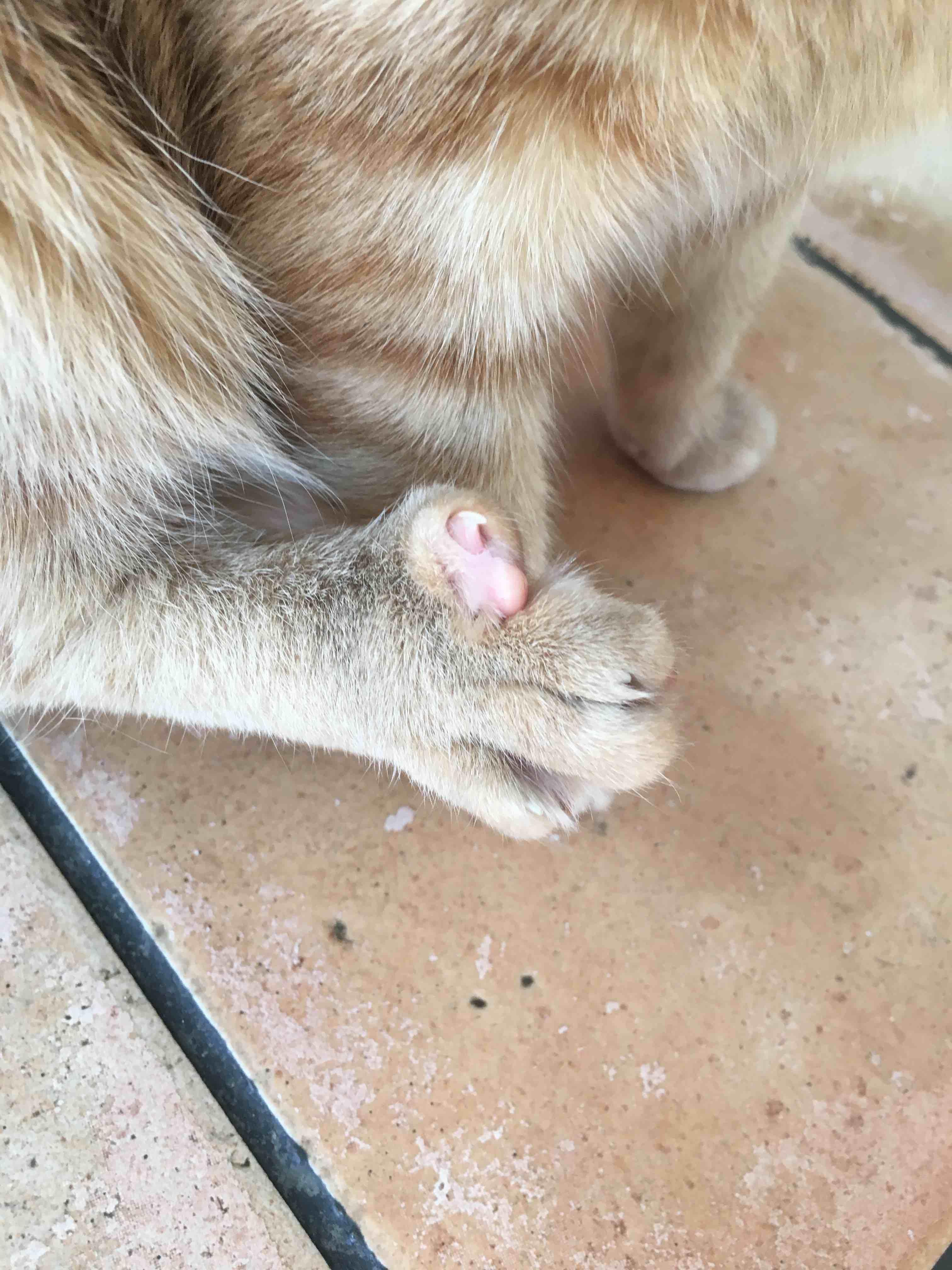 Question details sensitive content