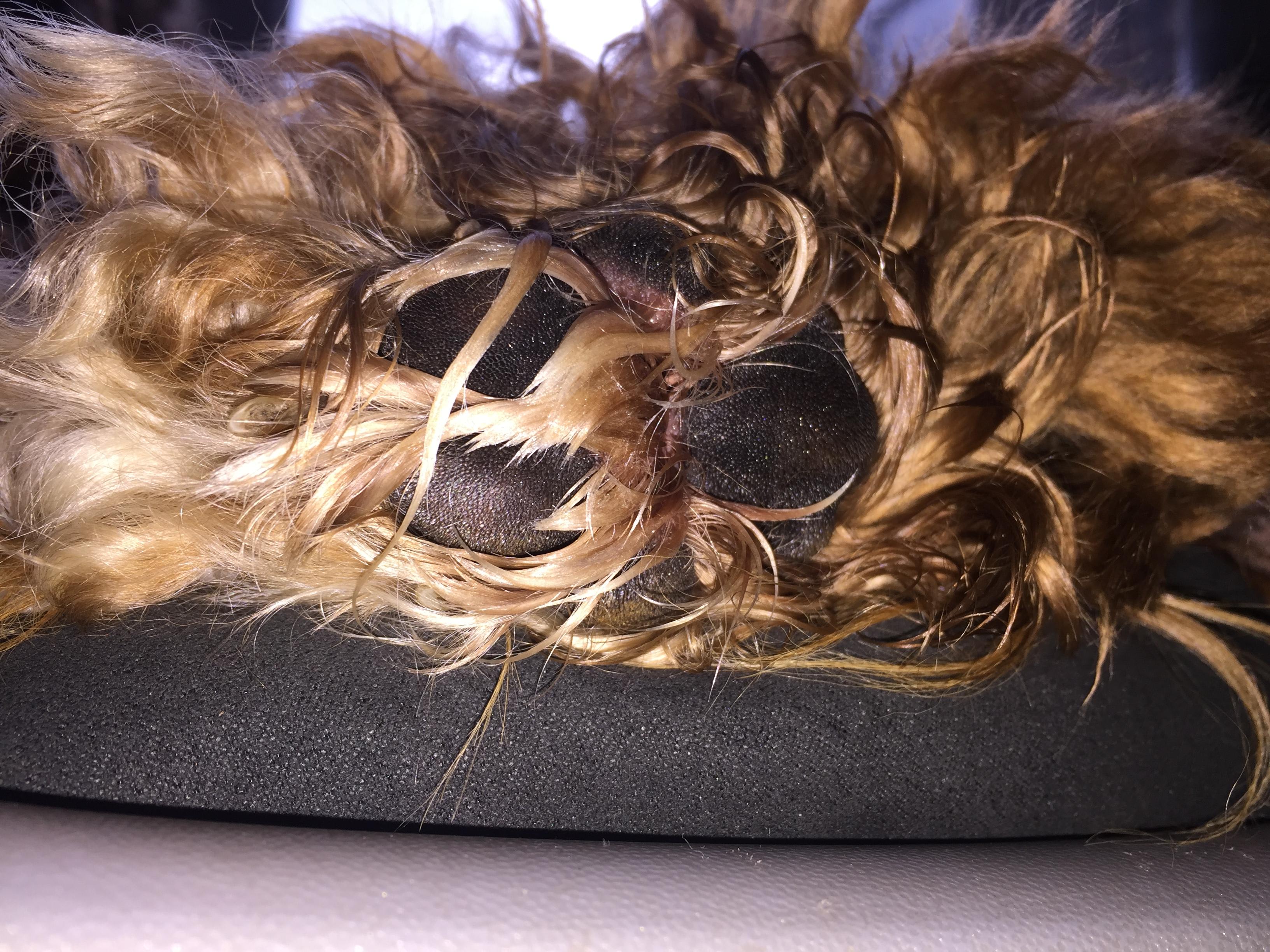 Question details sensitive content