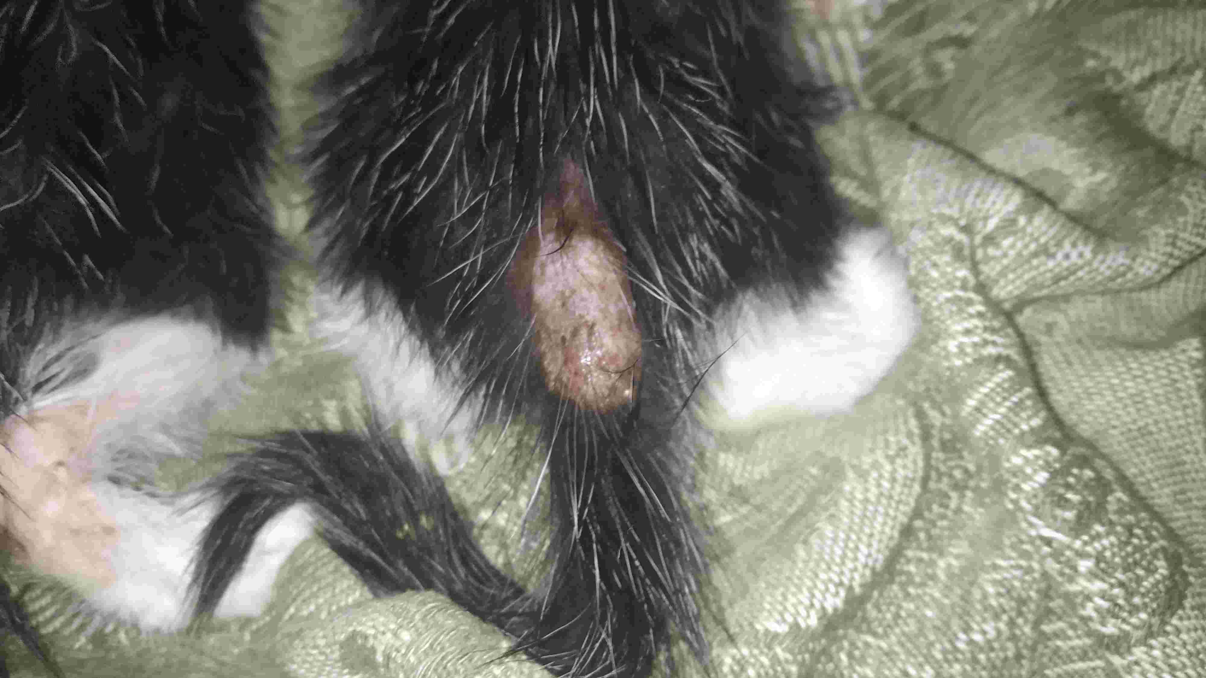 Question details sensitive content