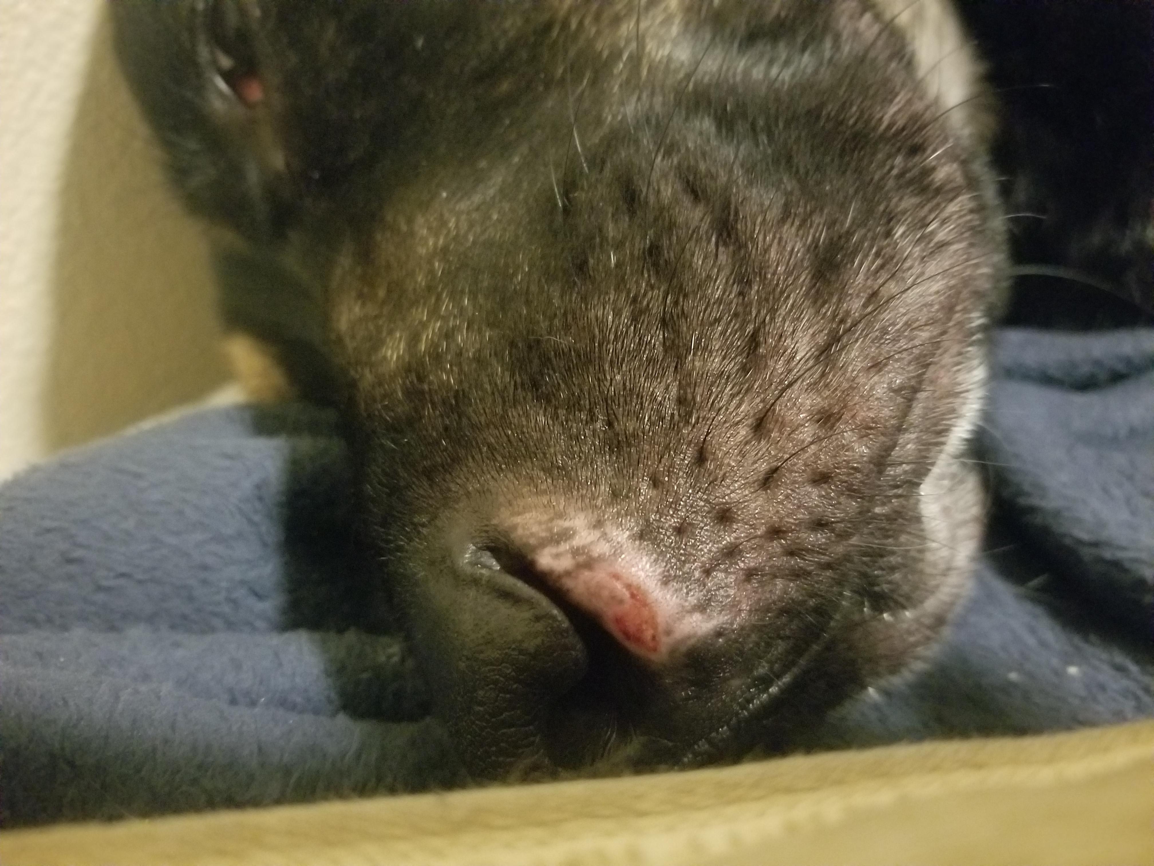 Question details sensitive content