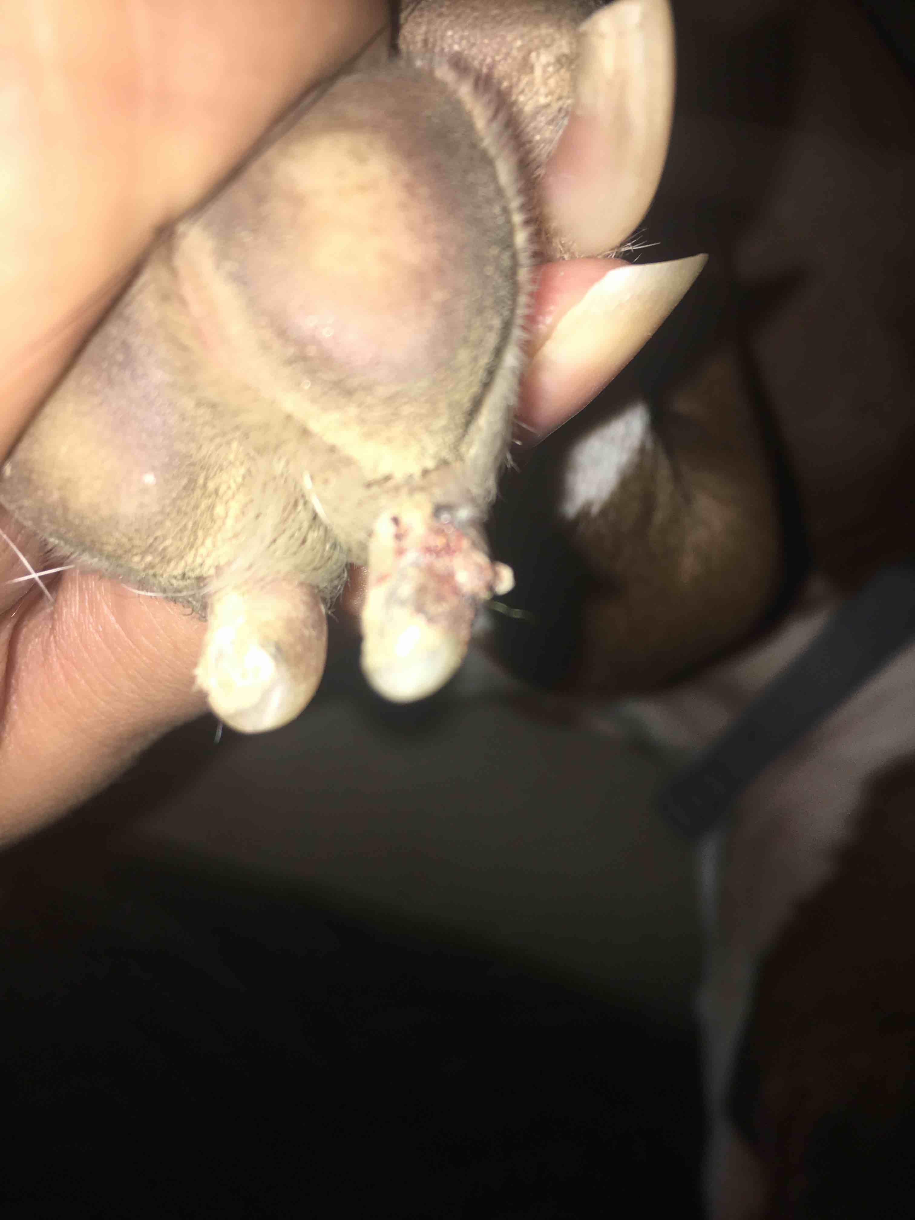 Question details sensitive content