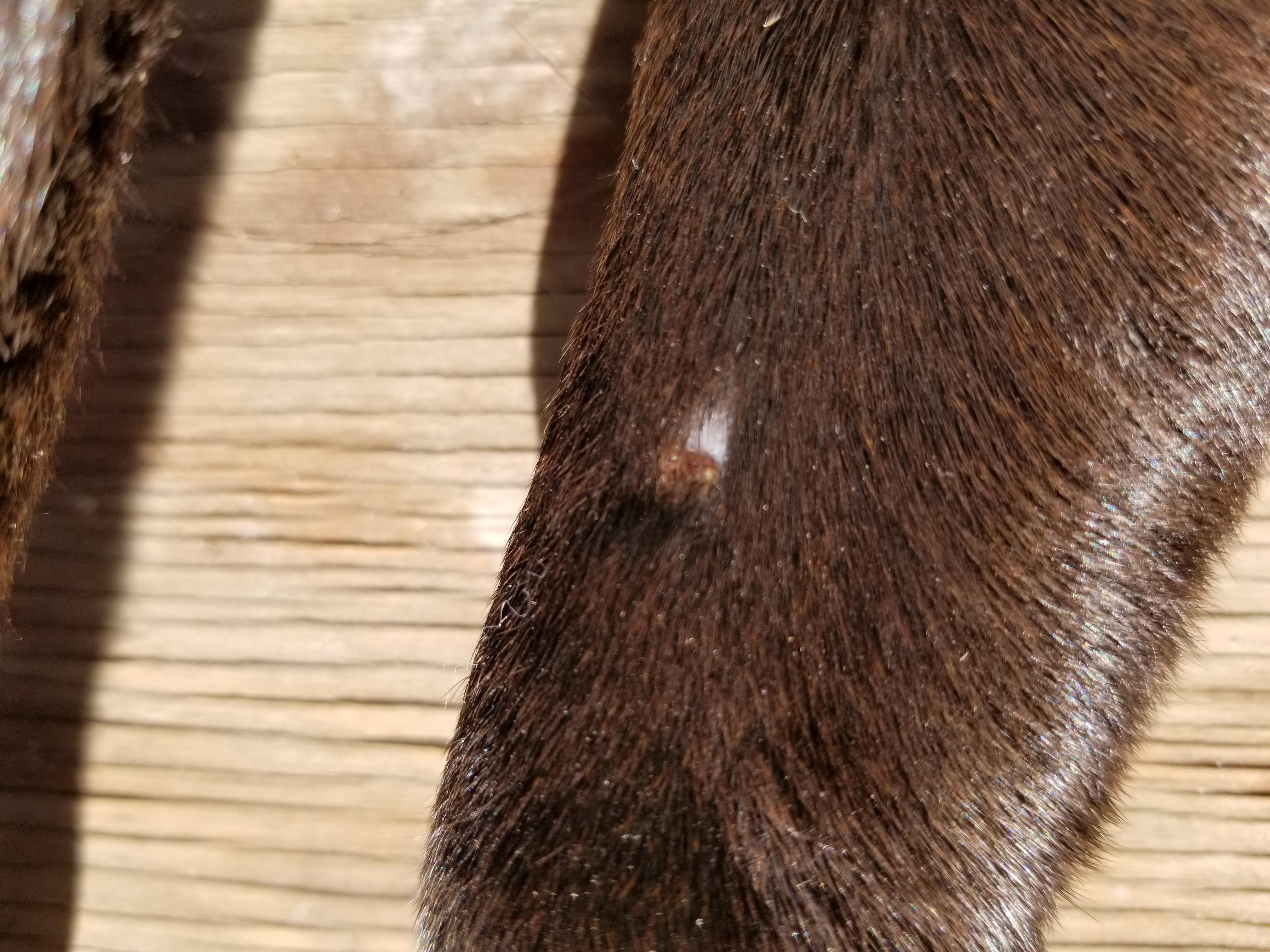 Question details sensitive content