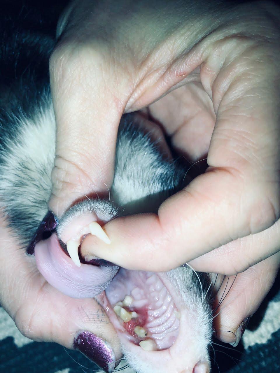 Question details sensitive content