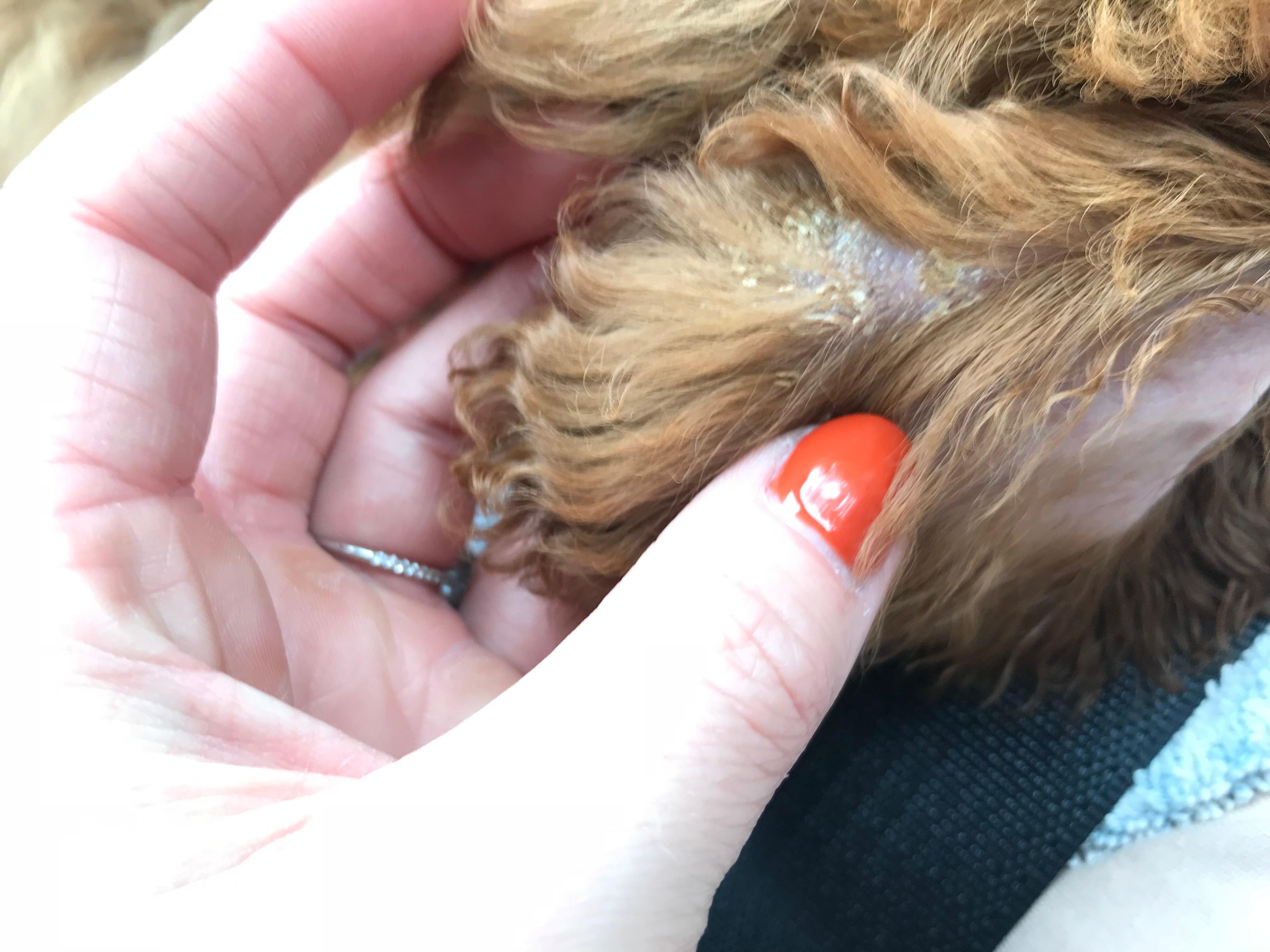 Question details sensitive content