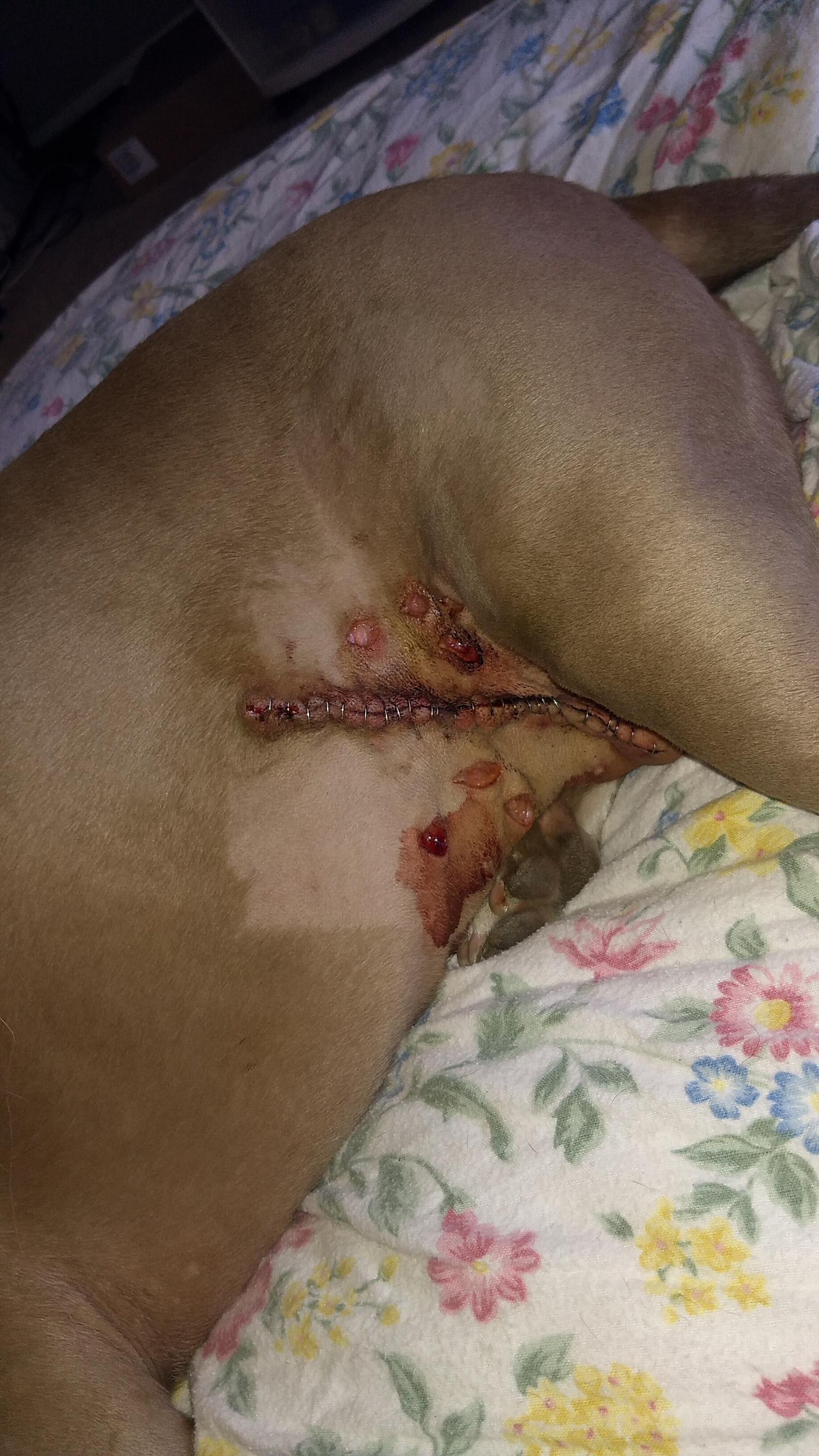 Question details sensitive content