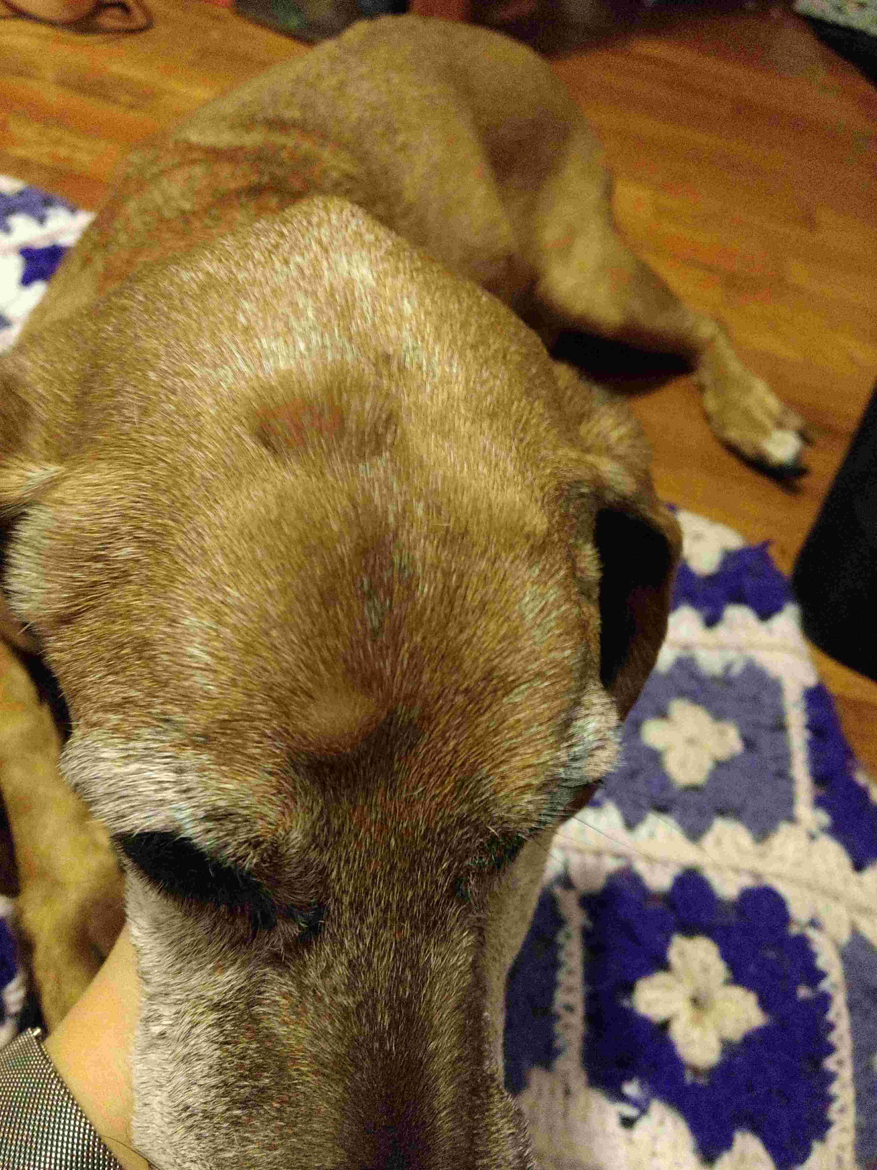 Question details sensitive content