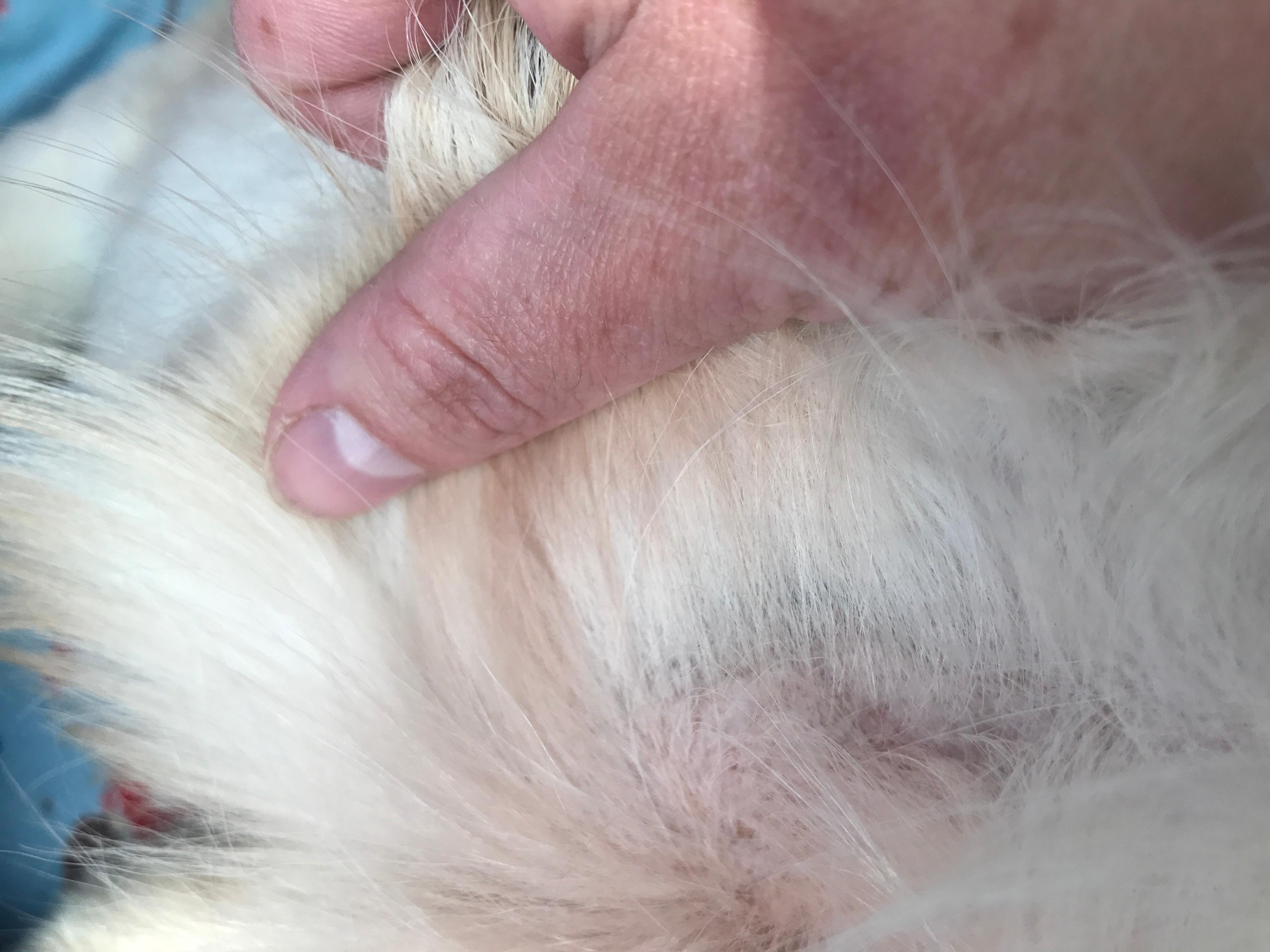 Question details sensitive content