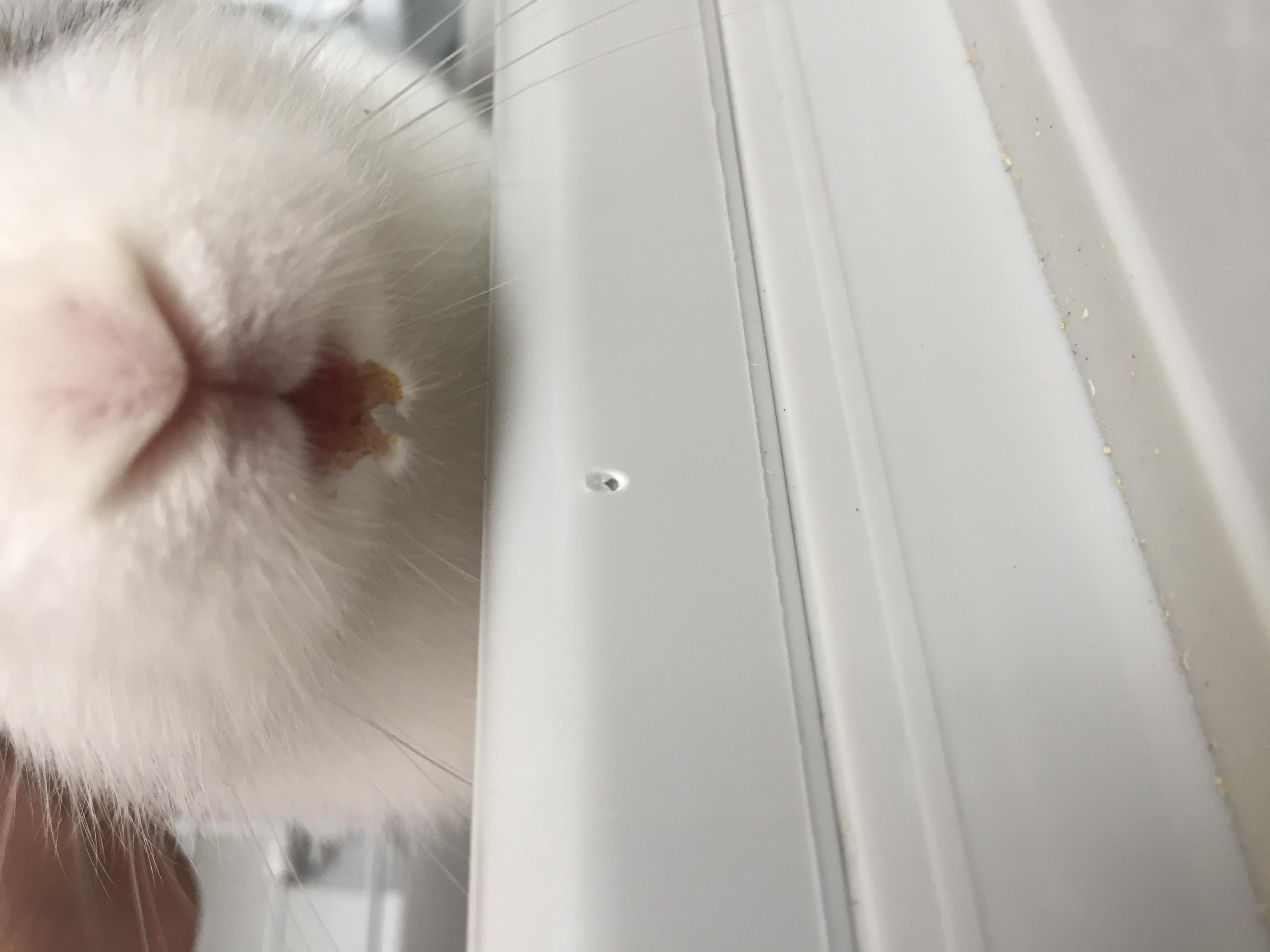 Question details sensitive content