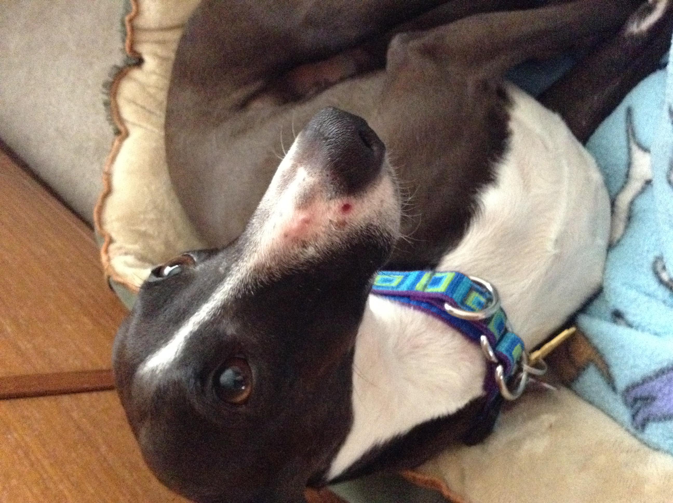 Question details sensitive content