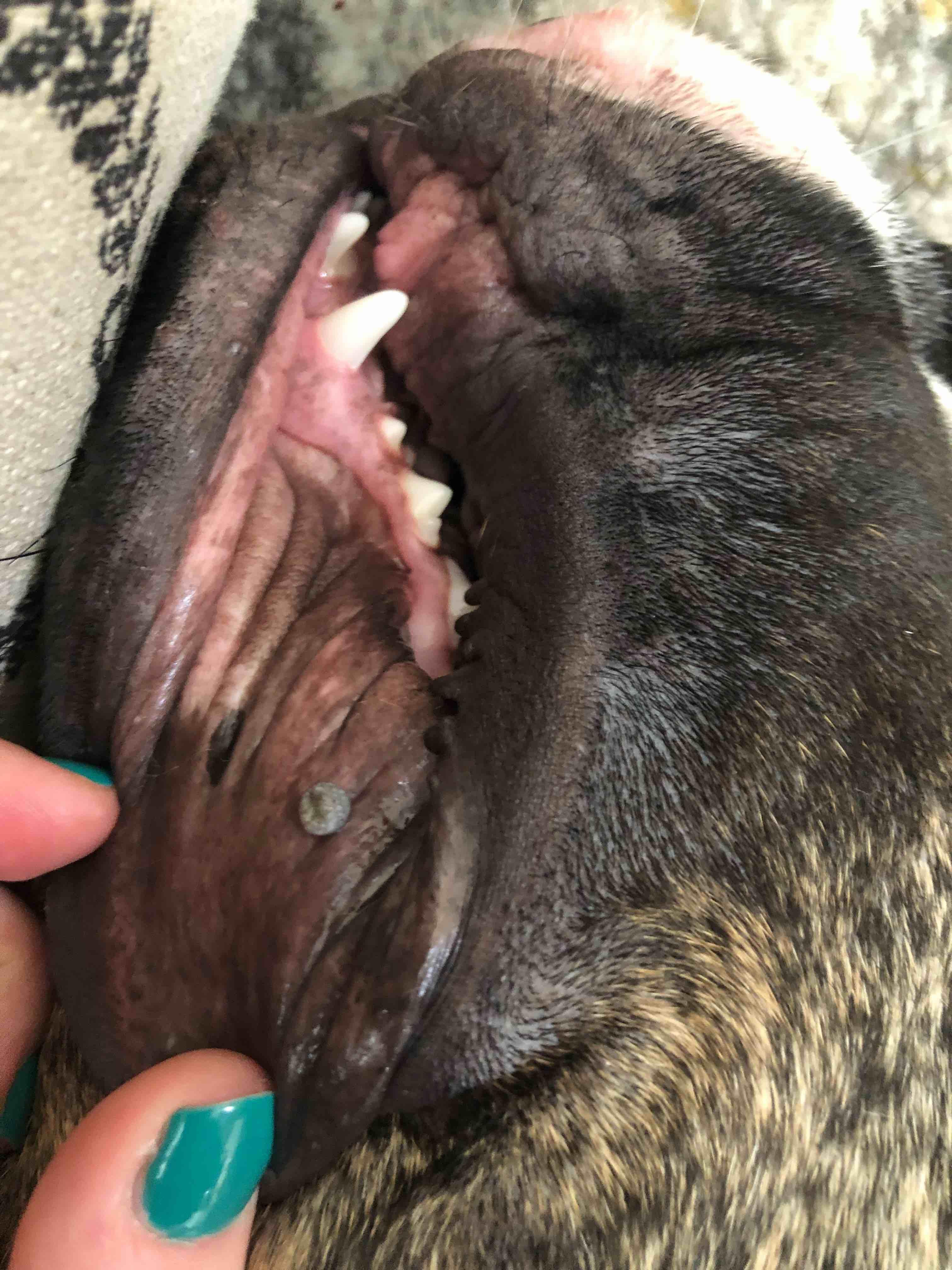 Question details sensitive content