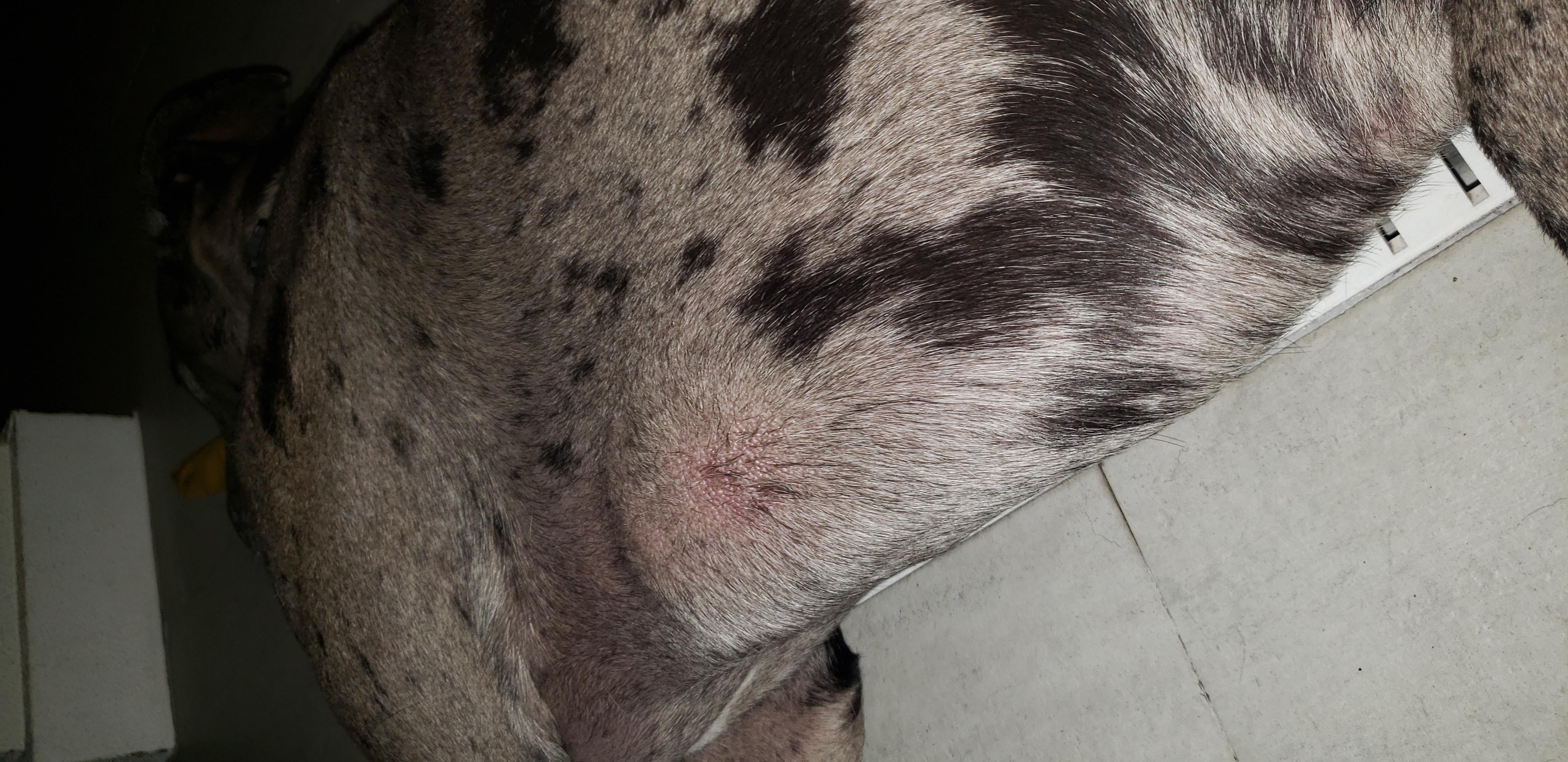 Question details sensitive content