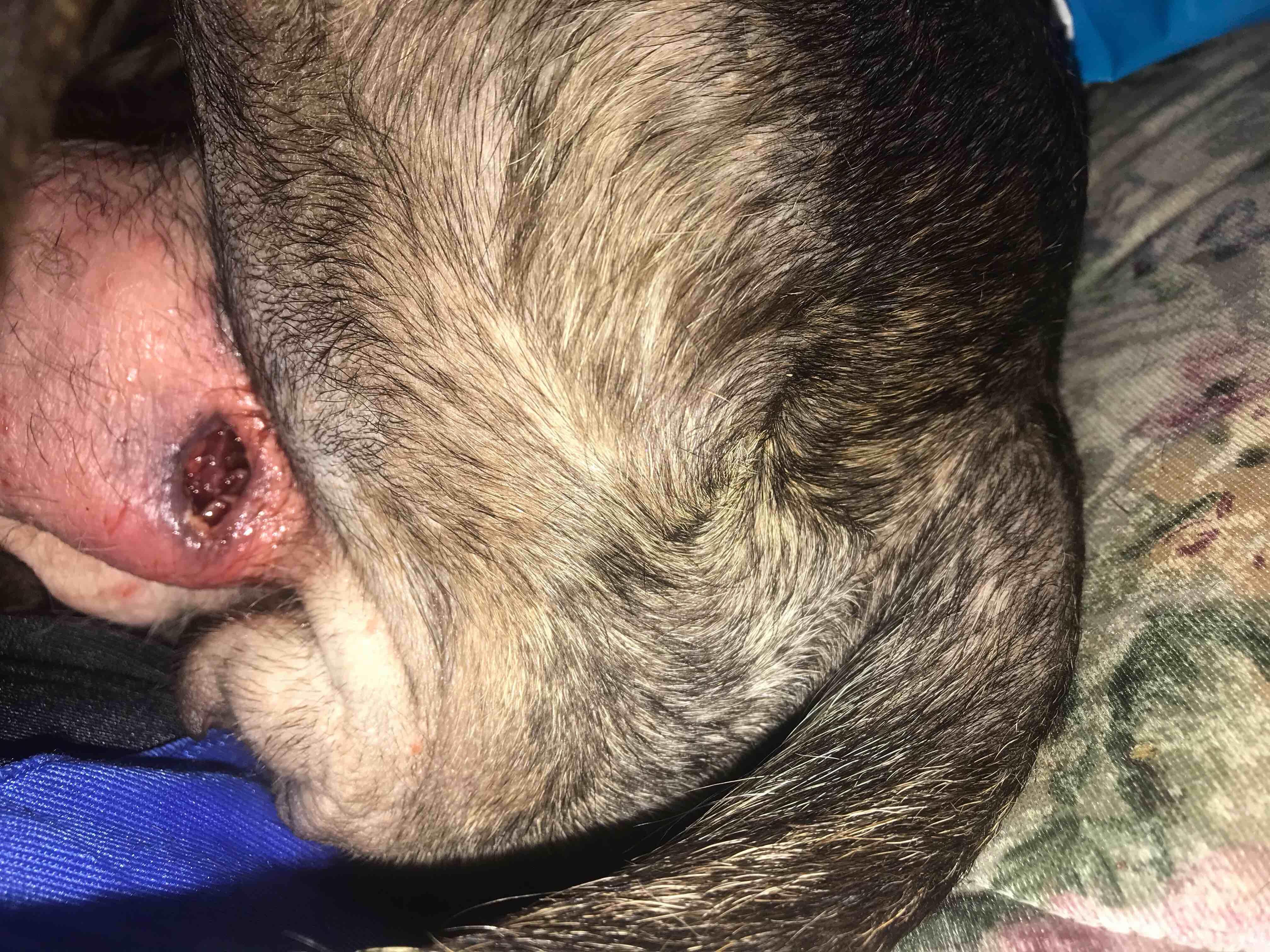 Question details sensitive content