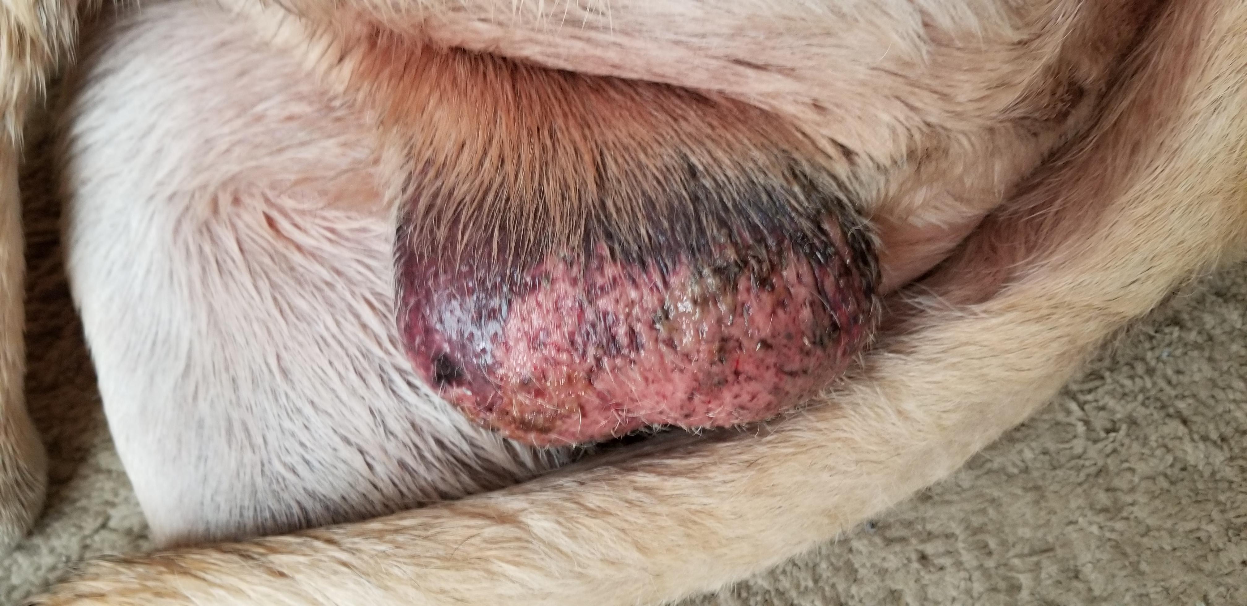 Question details sensitive content