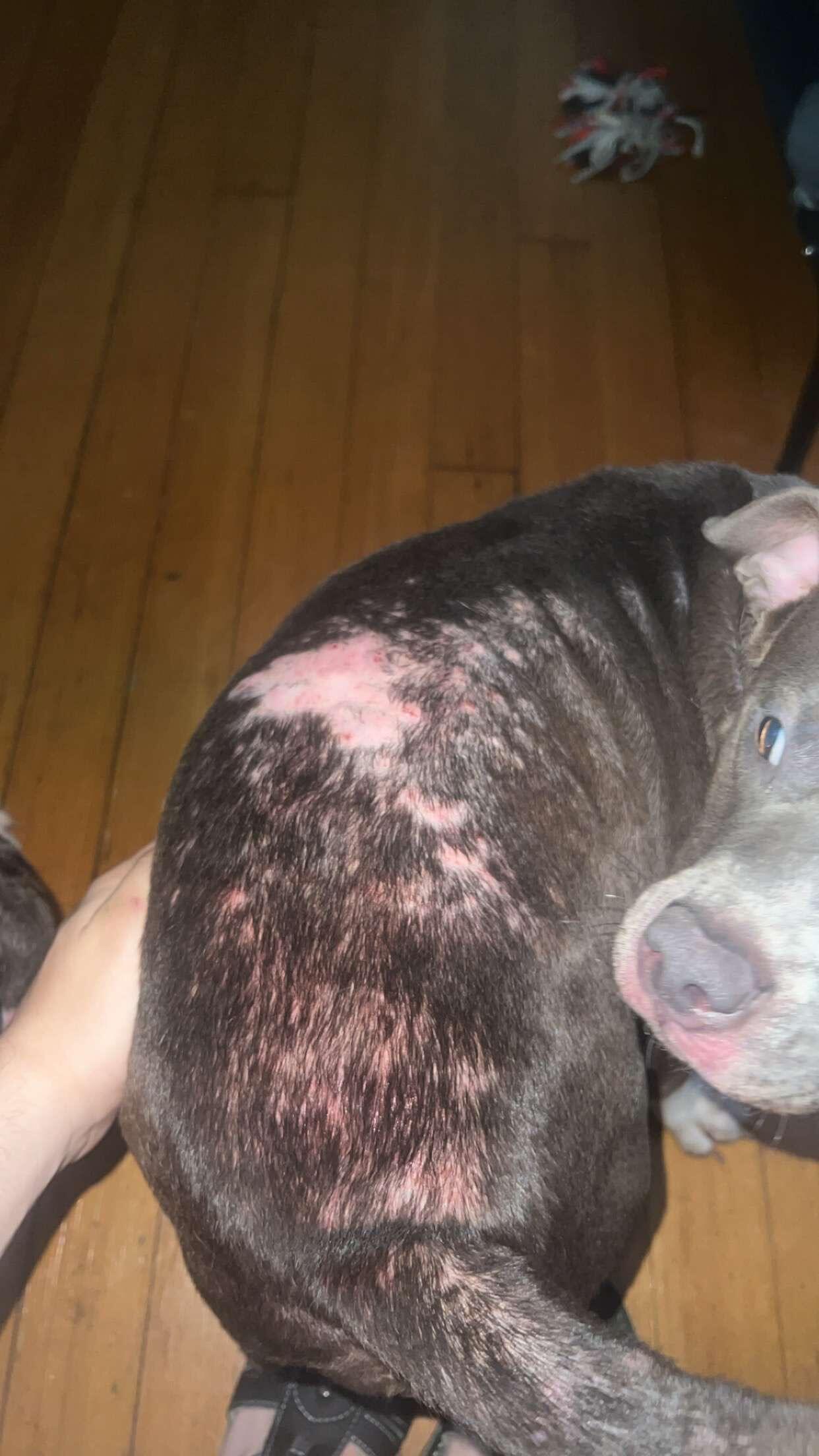 Question details sensitive content