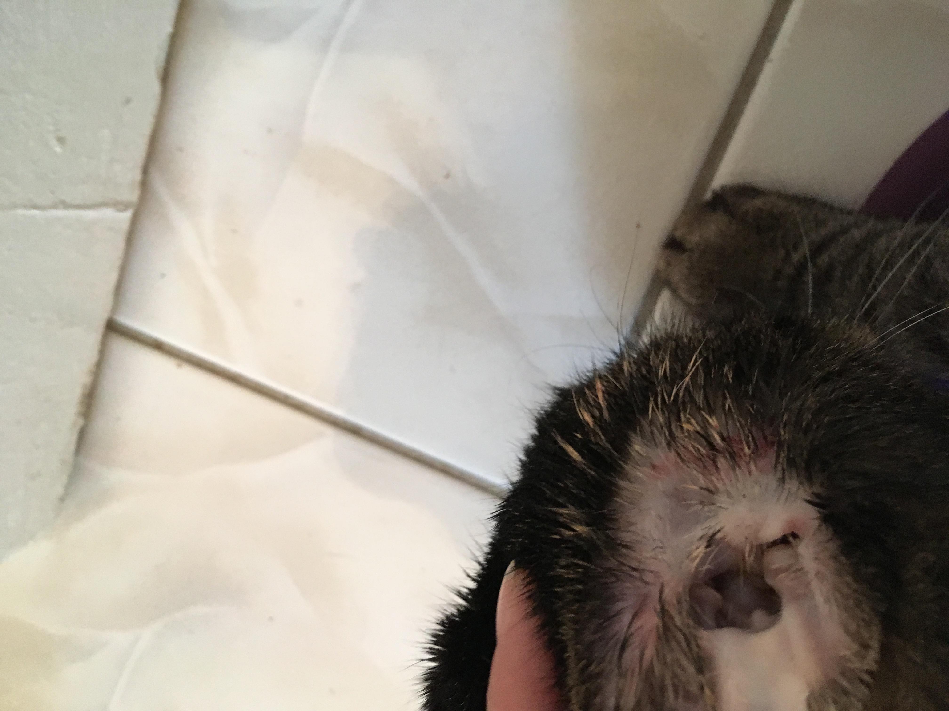 Question details sensitive content